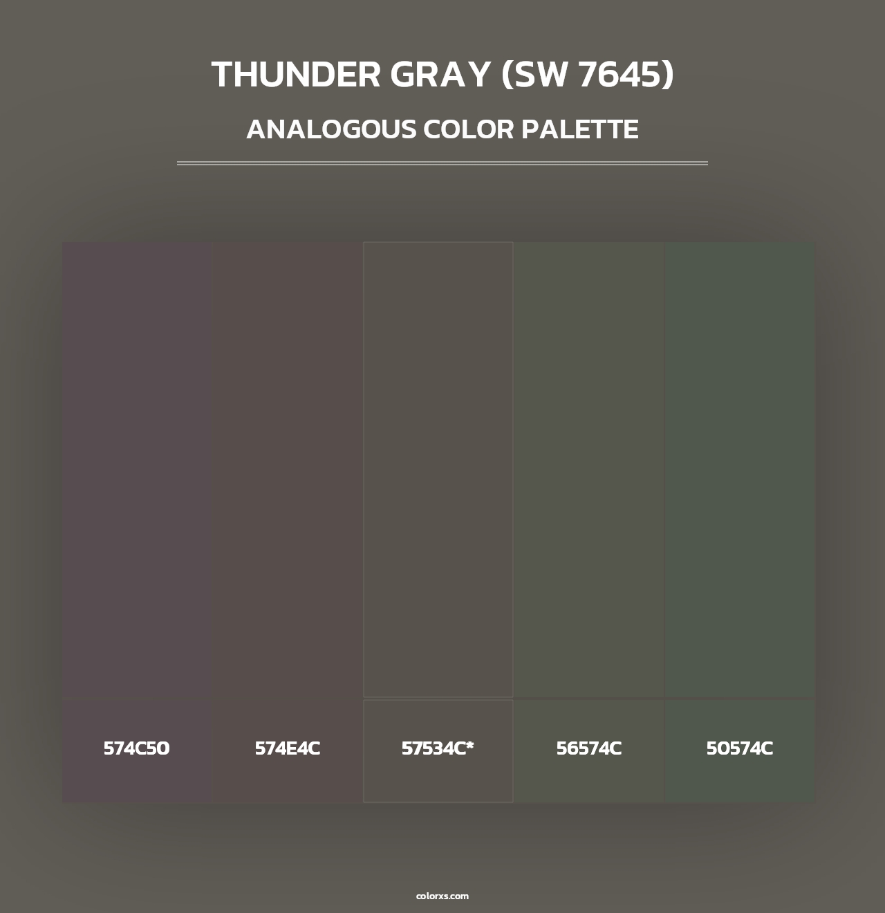 Thunder Gray (SW 7645) - Analogous Color Palette