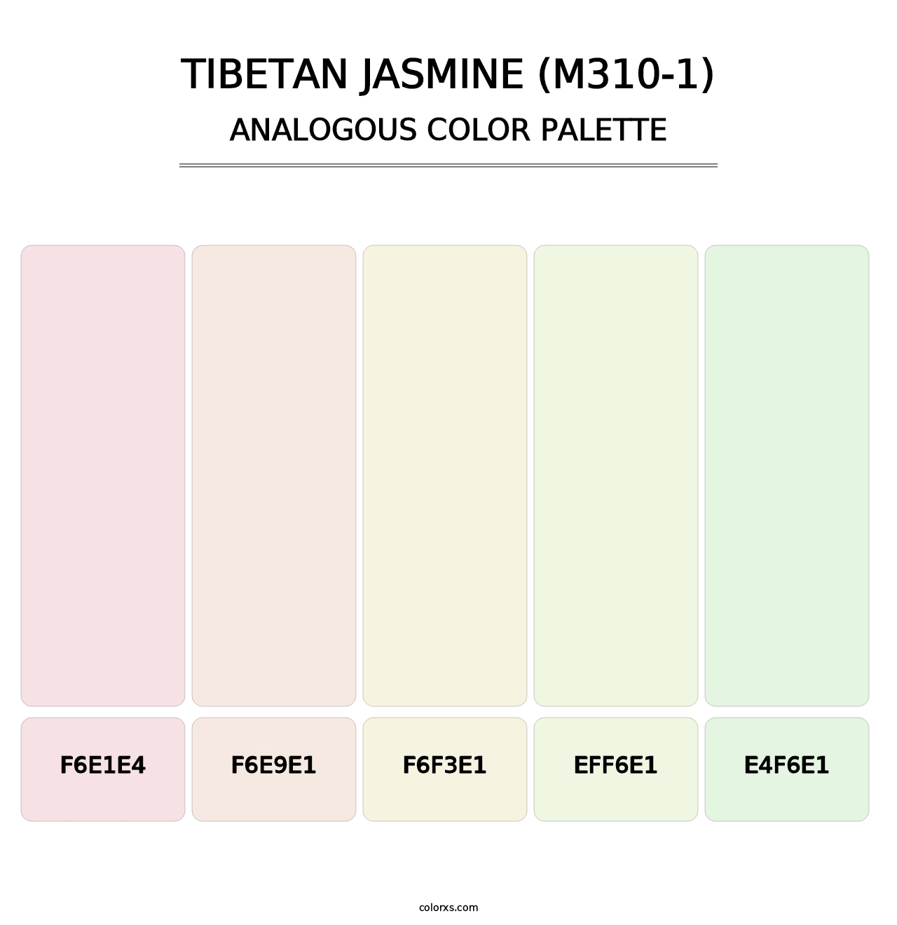 Tibetan Jasmine (M310-1) - Analogous Color Palette