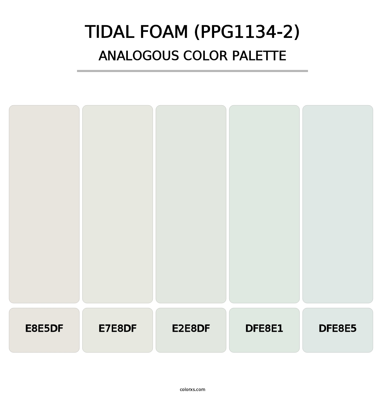 Tidal Foam (PPG1134-2) - Analogous Color Palette