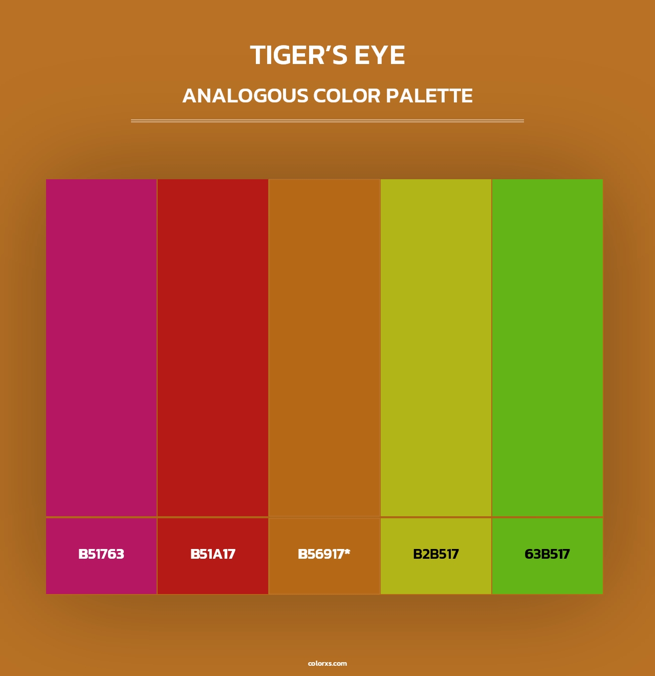 Tiger’s Eye - Analogous Color Palette
