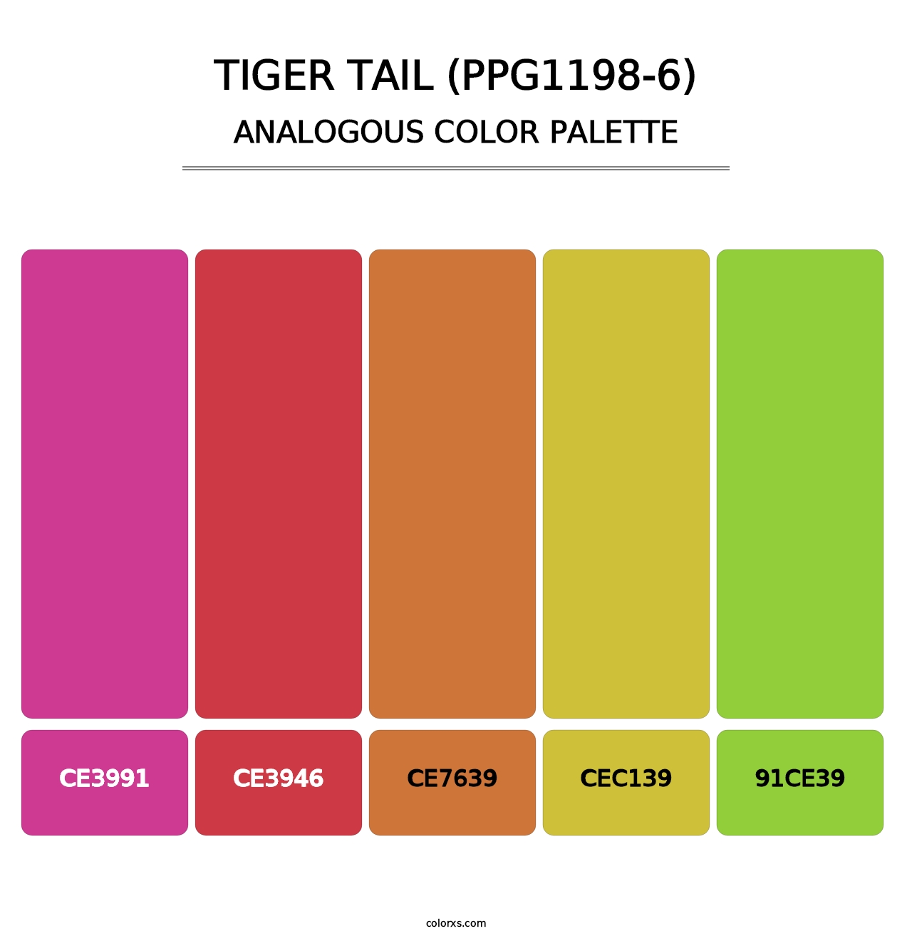 Tiger Tail (PPG1198-6) - Analogous Color Palette