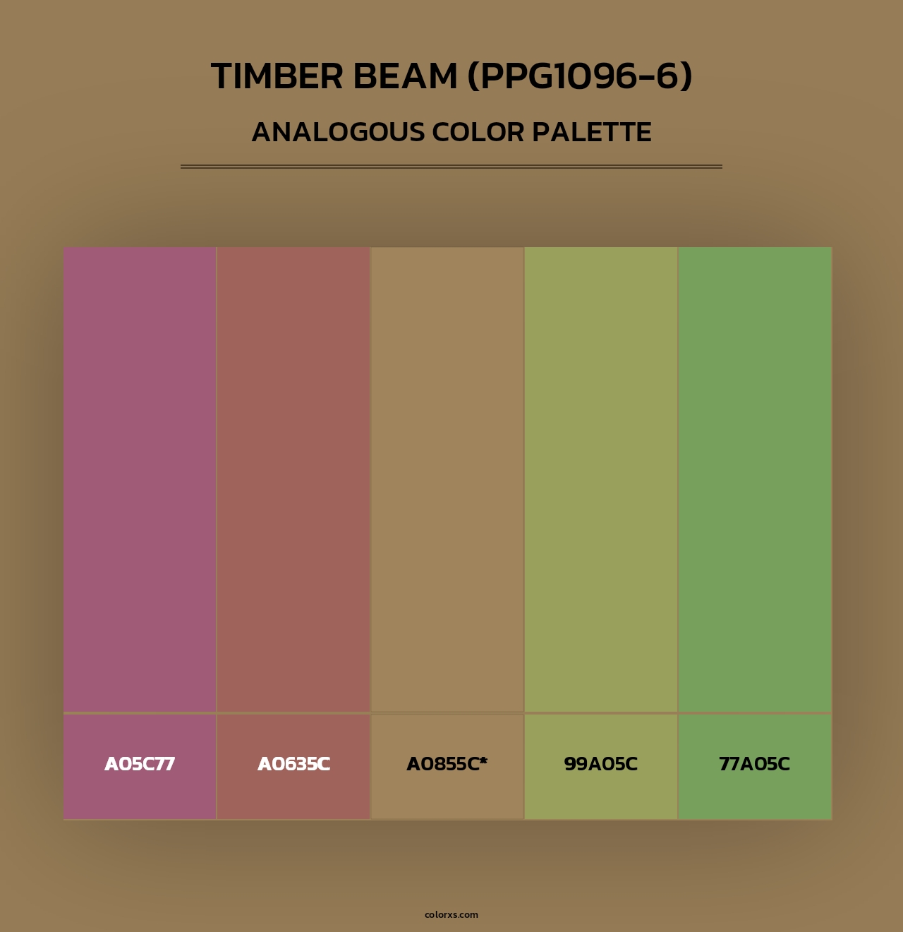 Timber Beam (PPG1096-6) - Analogous Color Palette