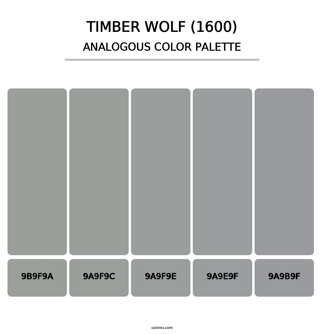 Timber Wolf (1600) - Analogous Color Palette