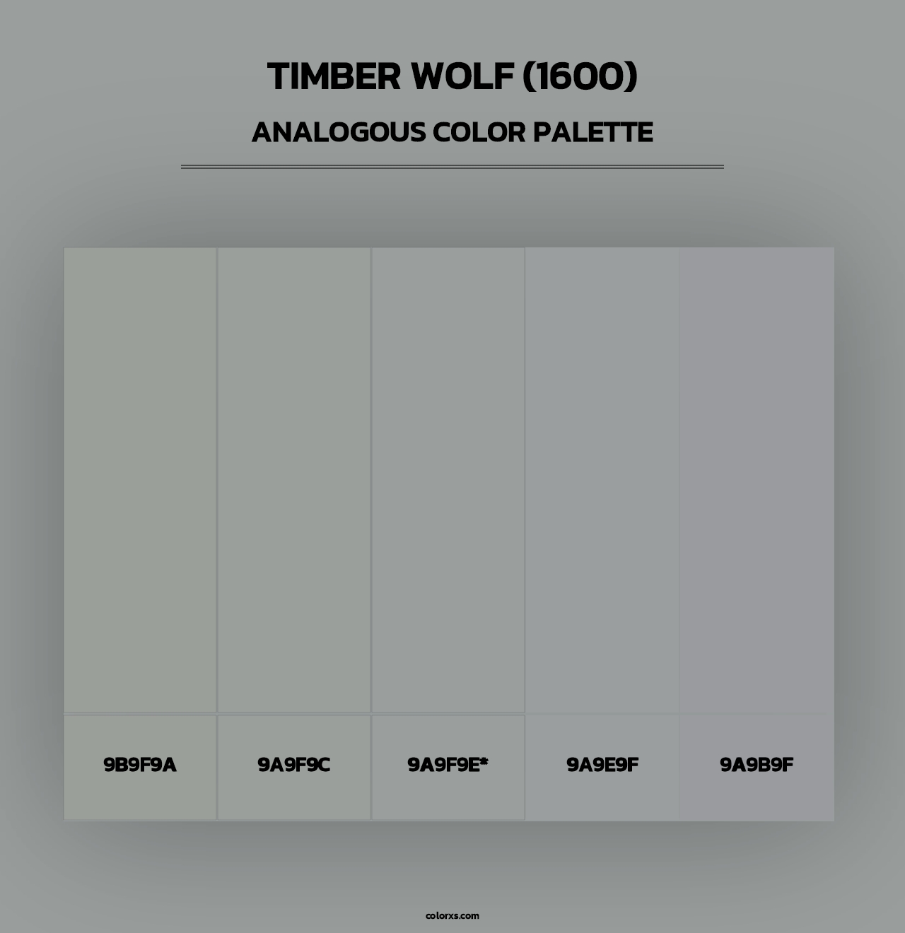Timber Wolf (1600) - Analogous Color Palette