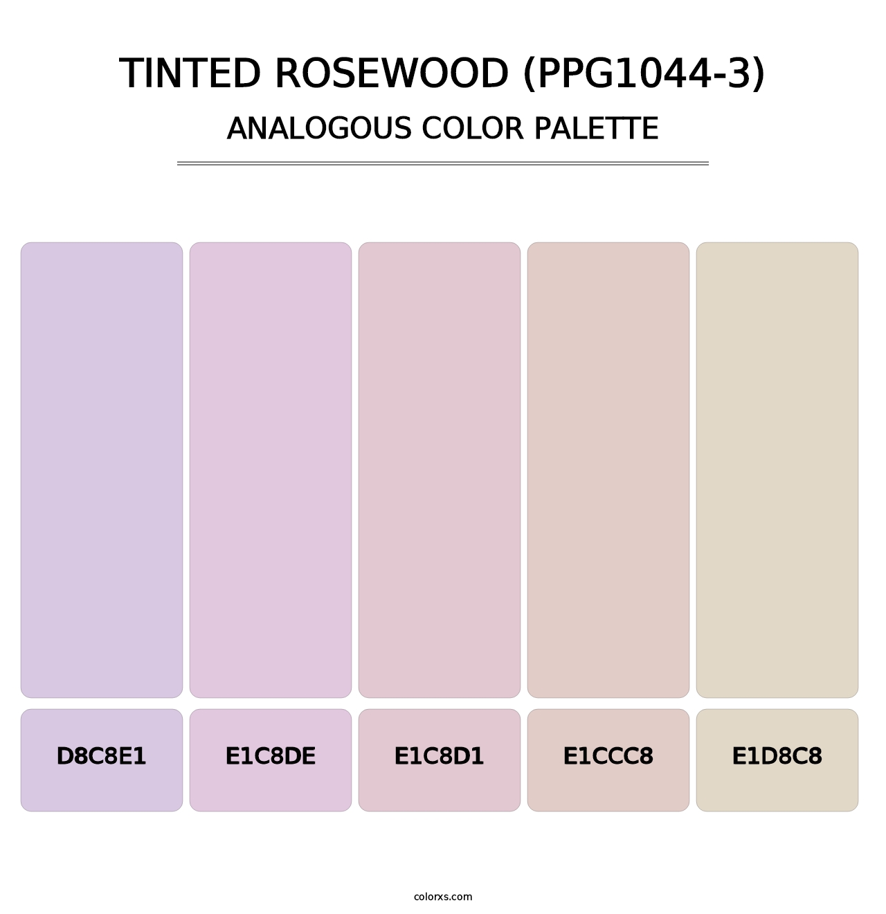 Tinted Rosewood (PPG1044-3) - Analogous Color Palette