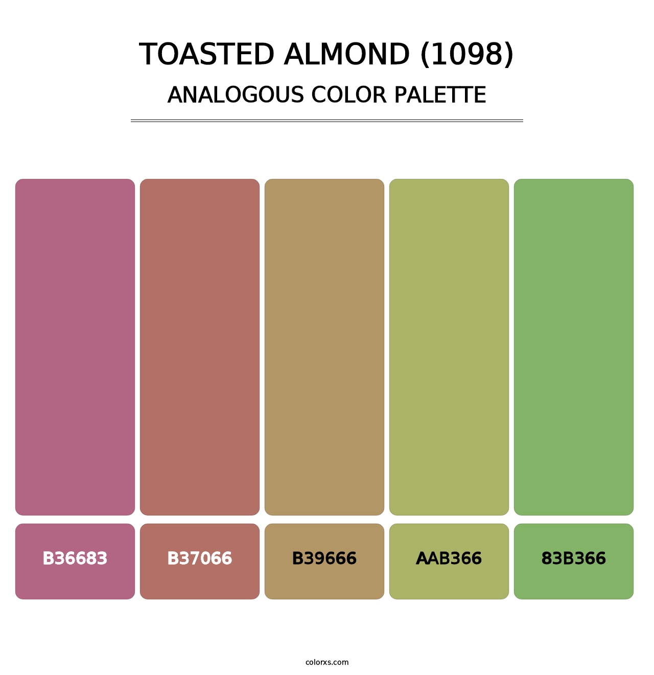 Toasted Almond (1098) - Analogous Color Palette