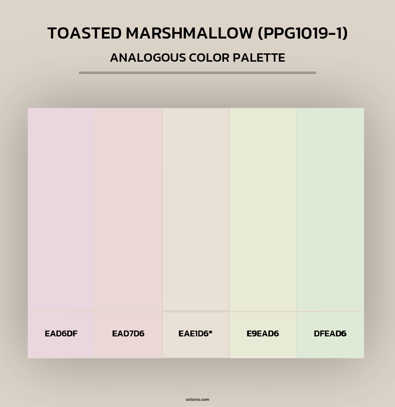 Toasted Marshmallow (PPG1019-1) - Analogous Color Palette