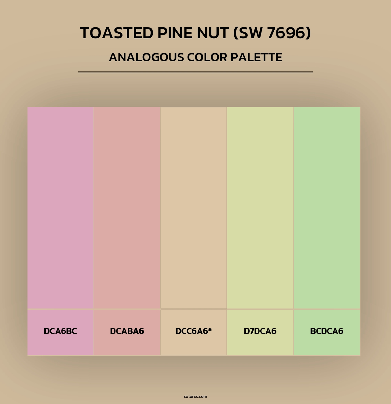 Toasted Pine Nut (SW 7696) - Analogous Color Palette