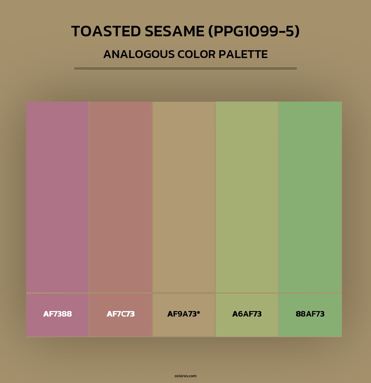 Toasted Sesame (PPG1099-5) - Analogous Color Palette