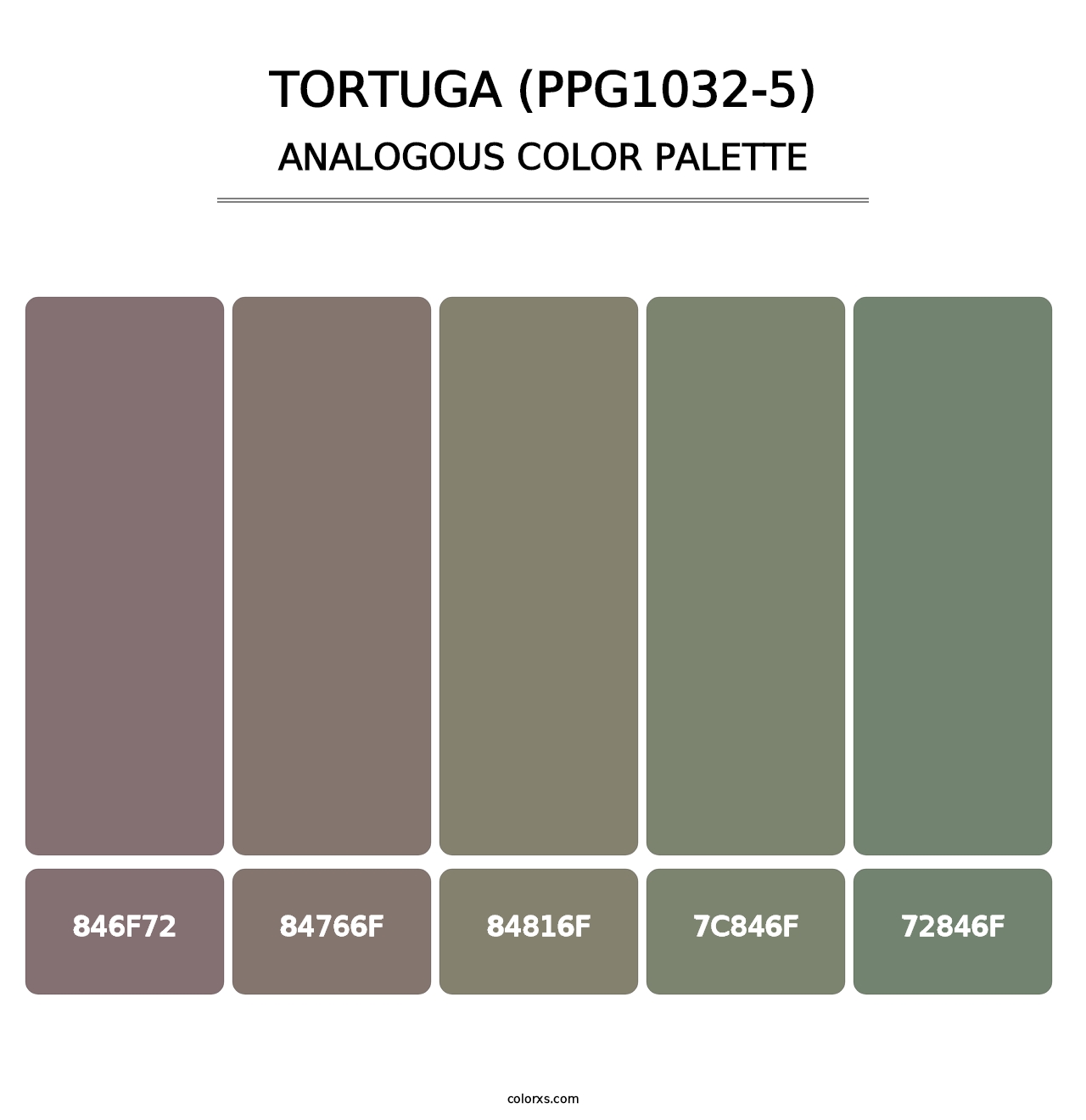 Tortuga (PPG1032-5) - Analogous Color Palette