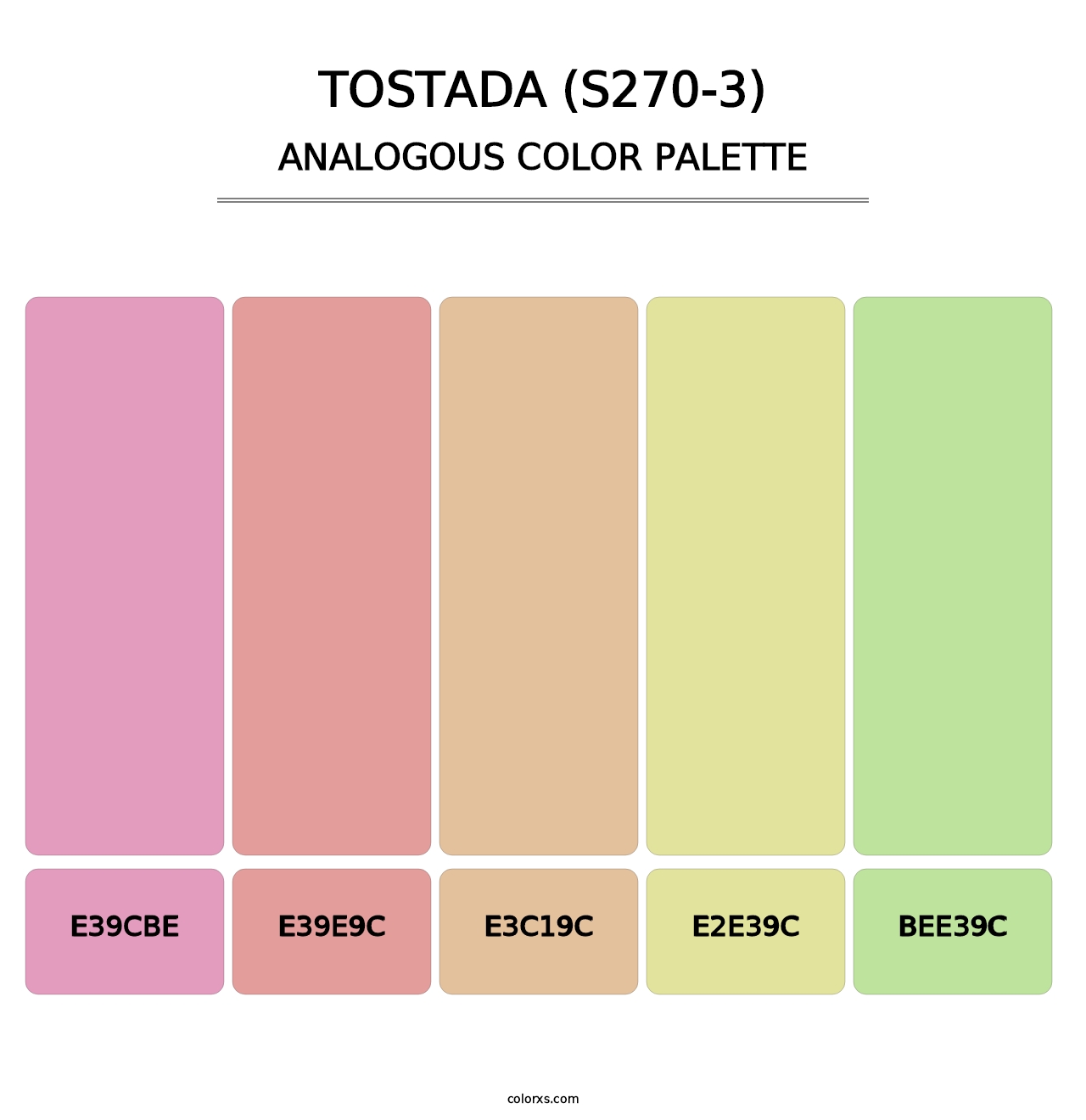 Tostada (S270-3) - Analogous Color Palette