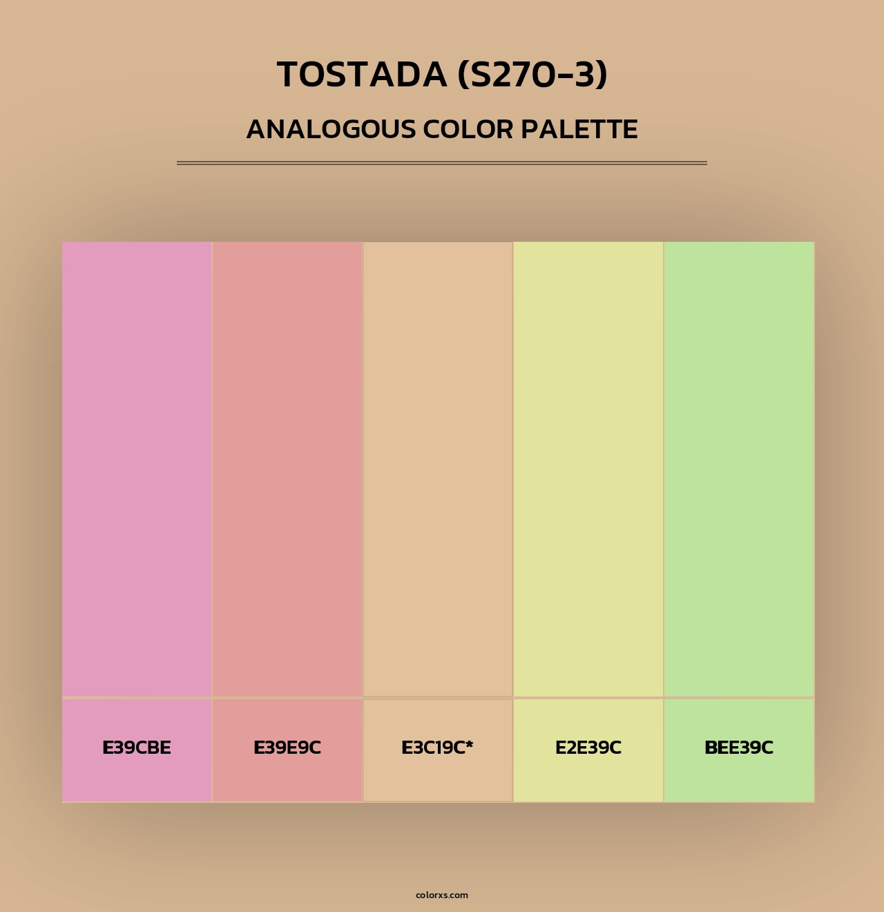 Tostada (S270-3) - Analogous Color Palette