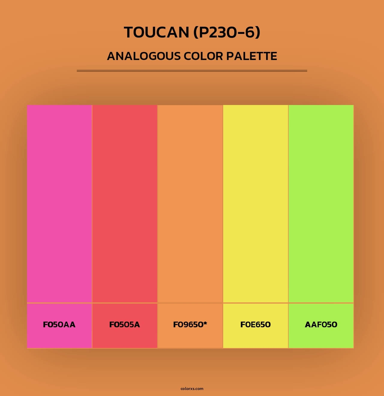 Toucan (P230-6) - Analogous Color Palette