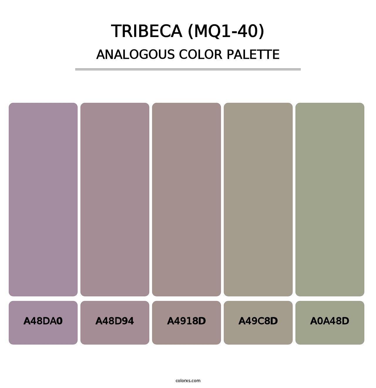 Tribeca (MQ1-40) - Analogous Color Palette