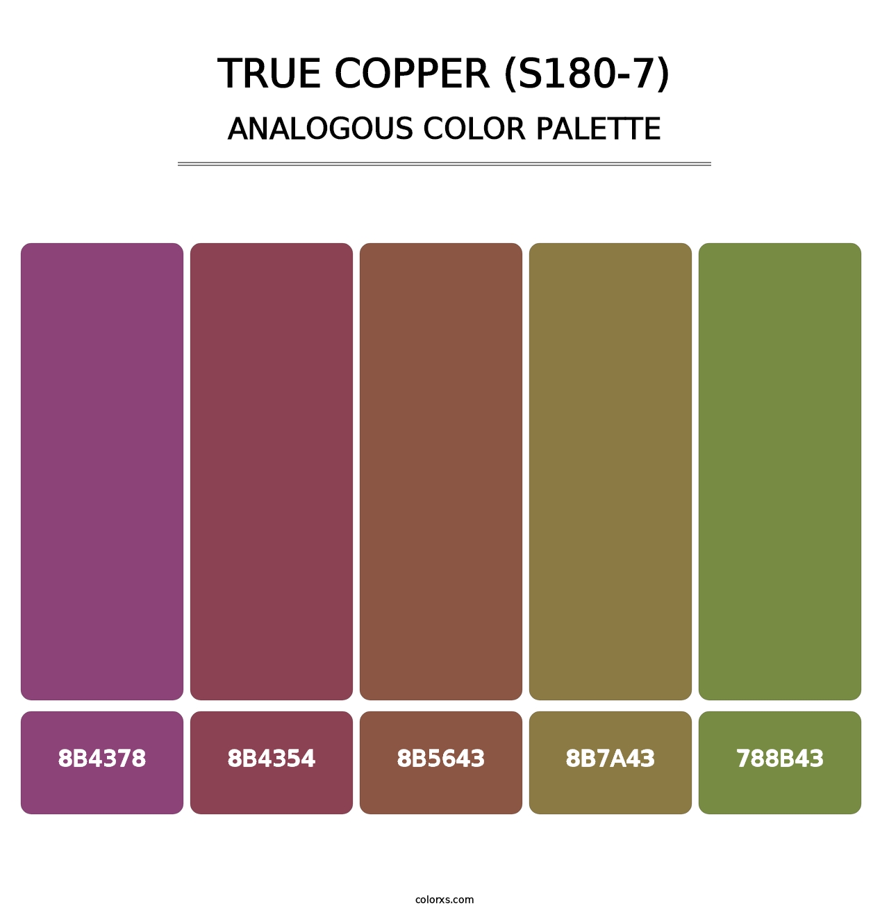 True Copper (S180-7) - Analogous Color Palette