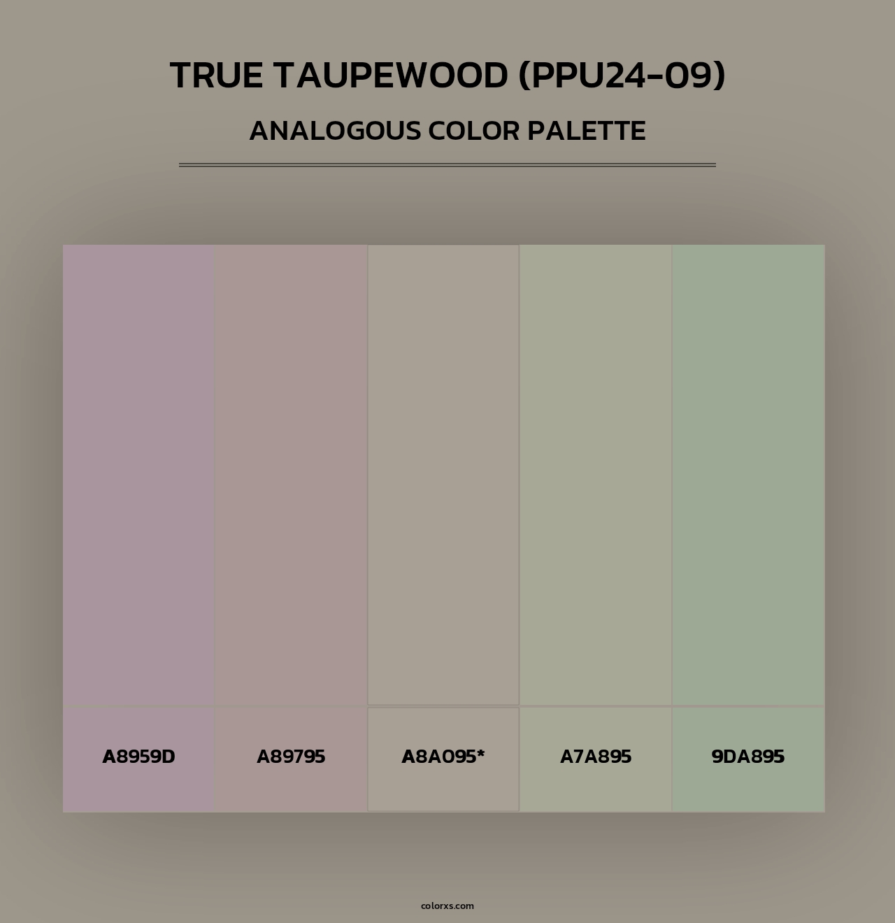 True Taupewood (PPU24-09) - Analogous Color Palette