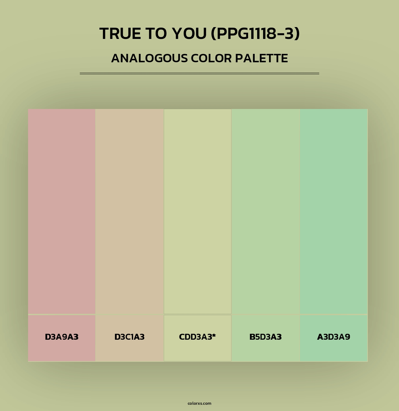 True To You (PPG1118-3) - Analogous Color Palette