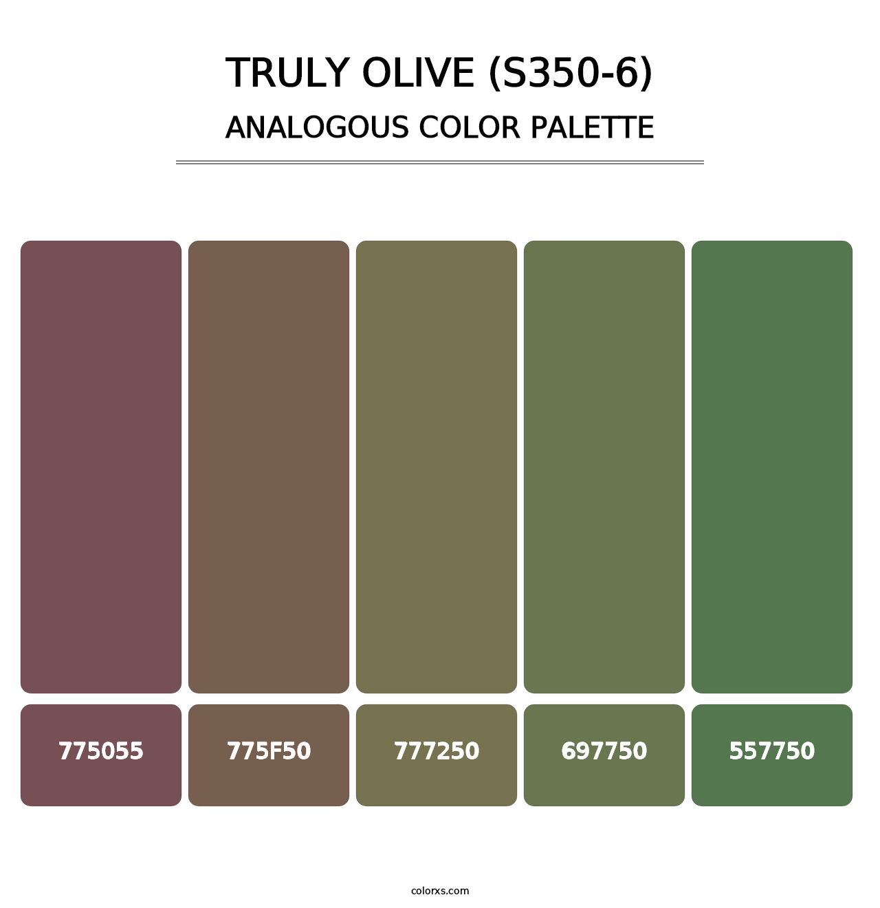 Truly Olive (S350-6) - Analogous Color Palette