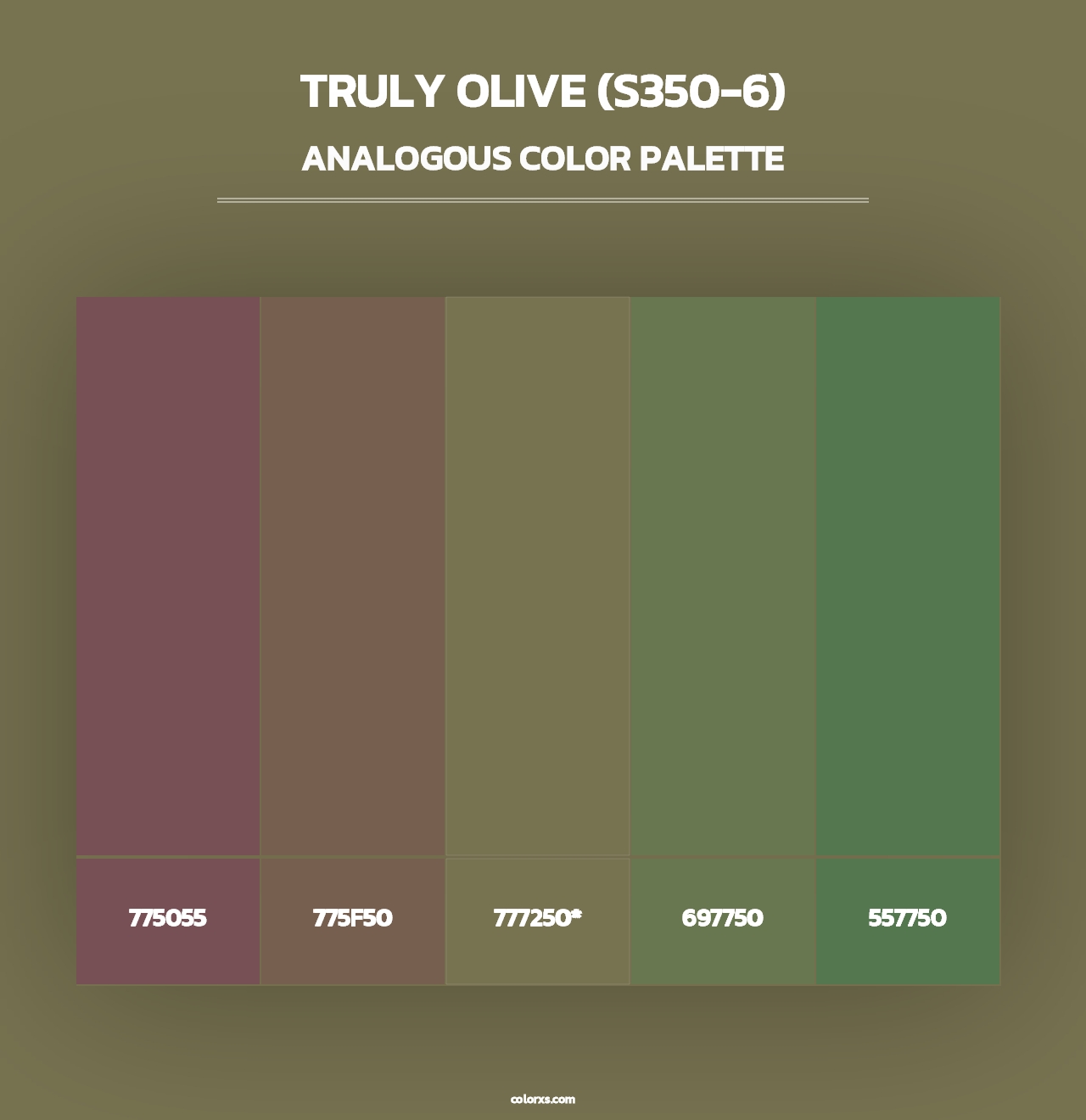 Truly Olive (S350-6) - Analogous Color Palette