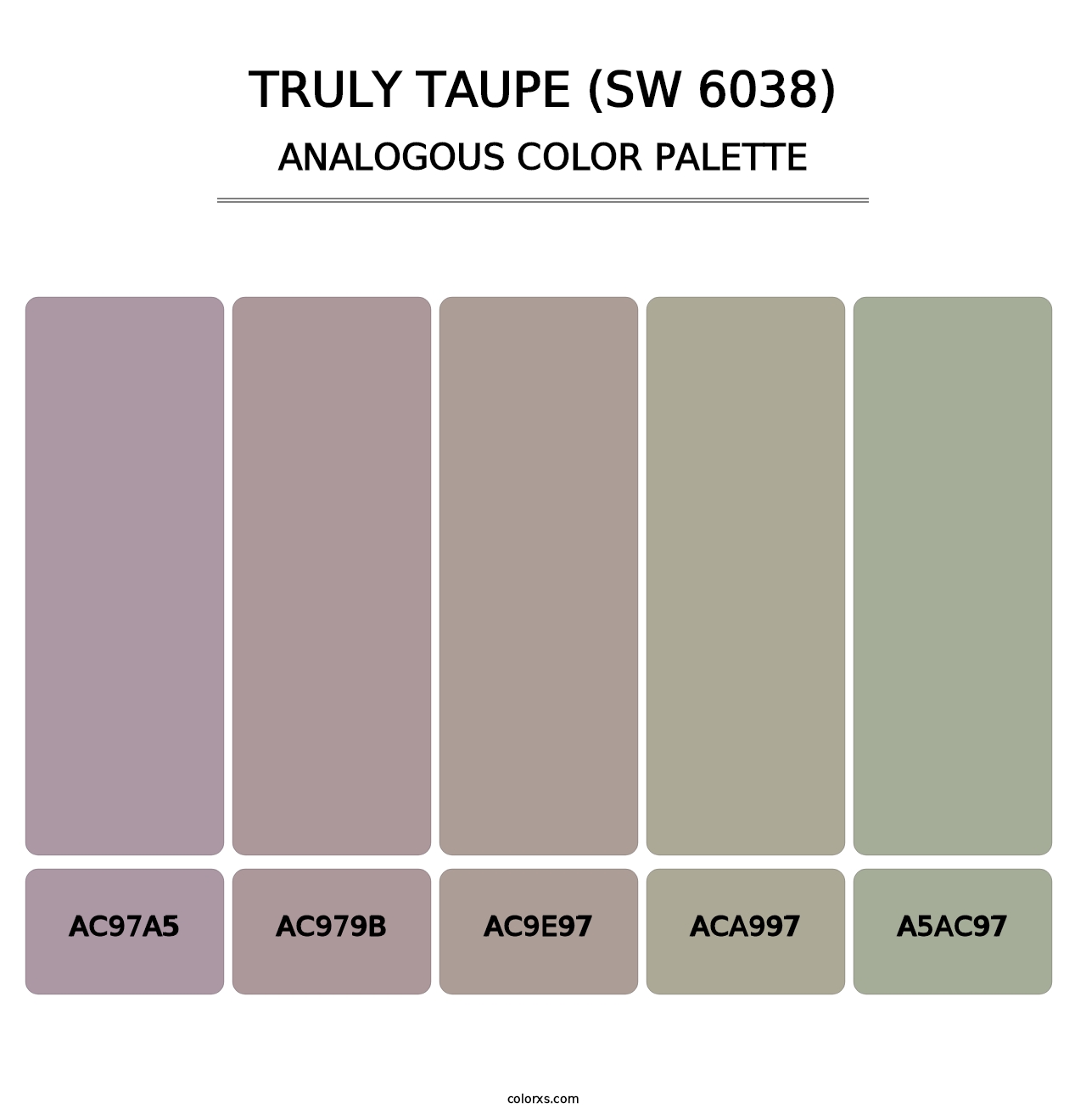 Truly Taupe (SW 6038) - Analogous Color Palette