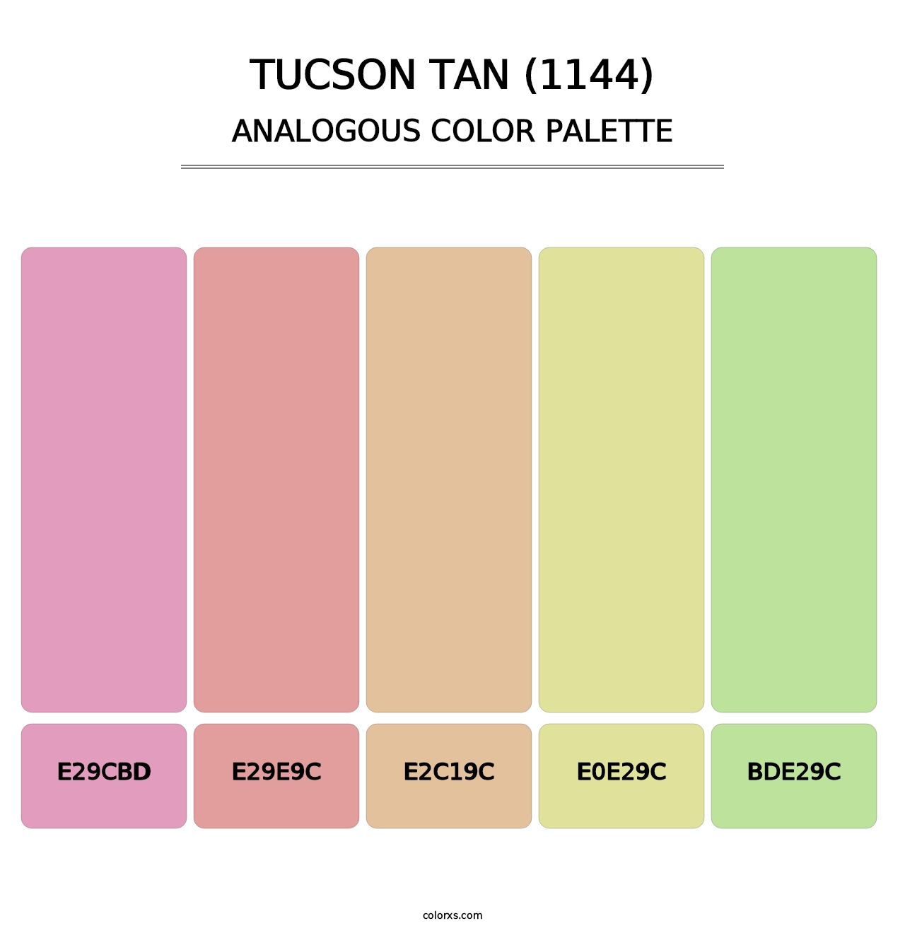 Tucson Tan (1144) - Analogous Color Palette