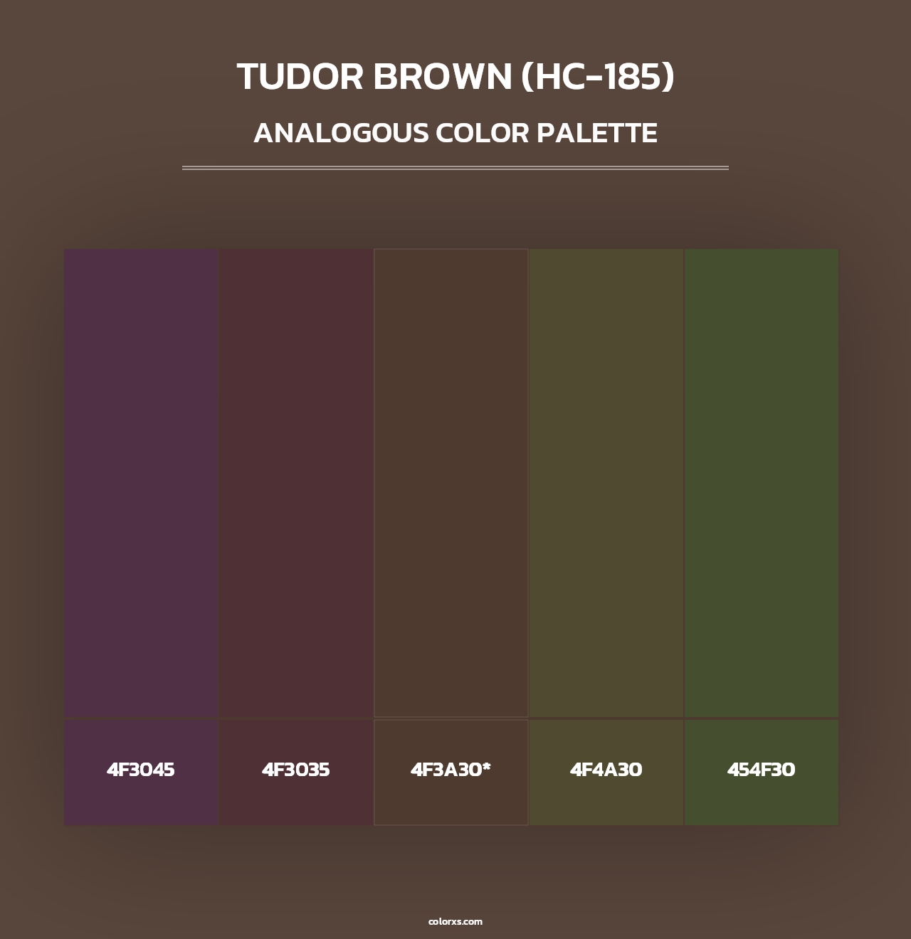 Tudor Brown (HC-185) - Analogous Color Palette