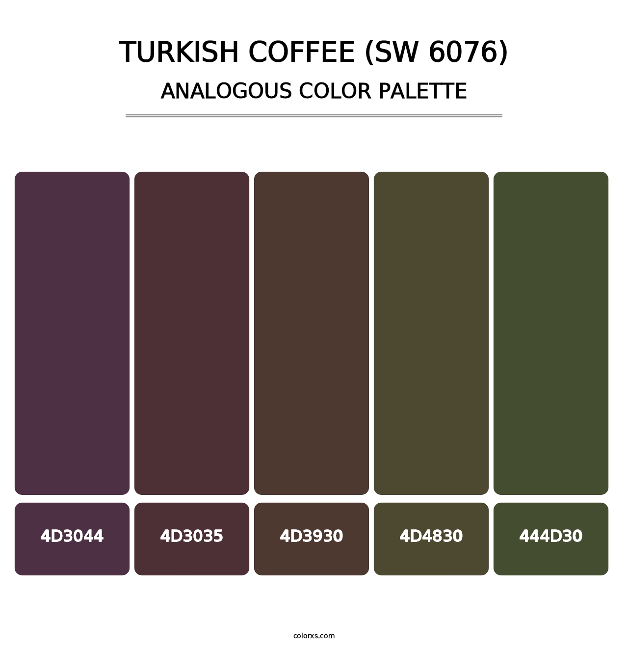 Turkish Coffee (SW 6076) - Analogous Color Palette