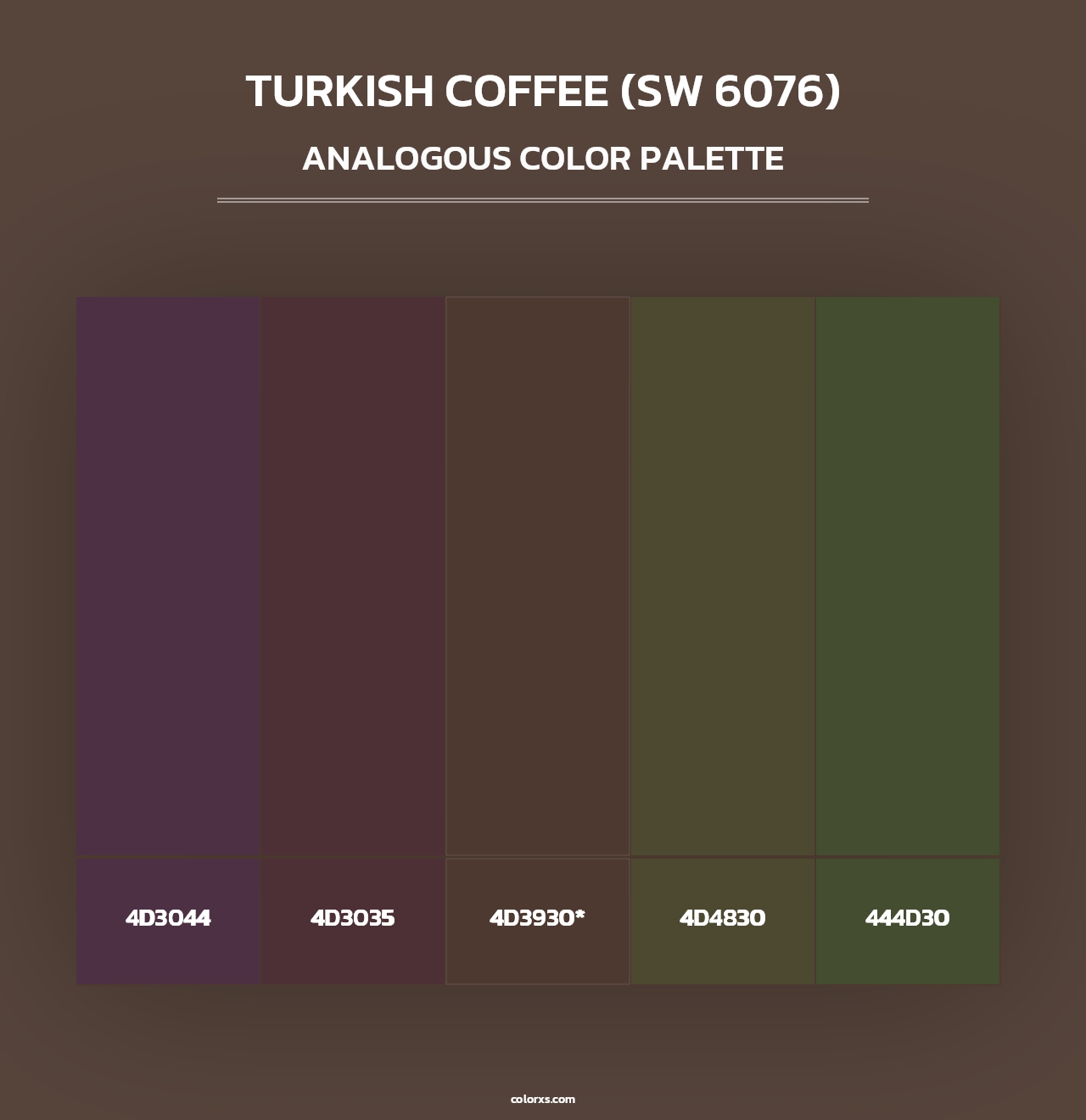 Turkish Coffee (SW 6076) - Analogous Color Palette