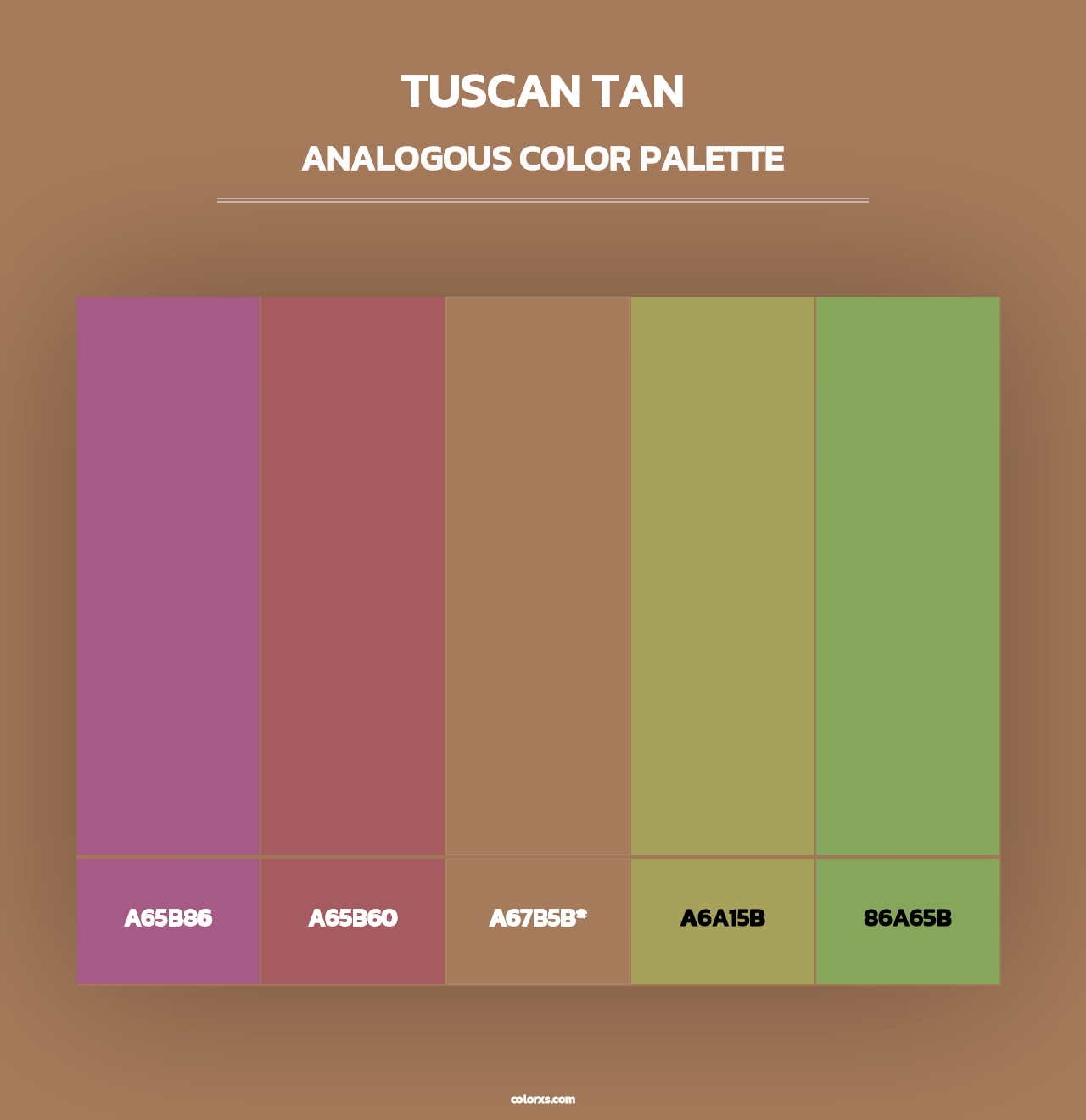 Tuscan Tan - Analogous Color Palette