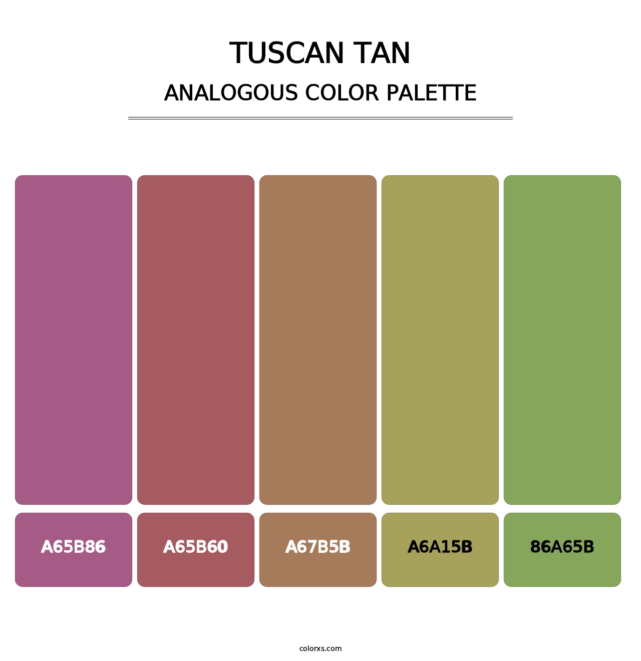 Tuscan Tan - Analogous Color Palette