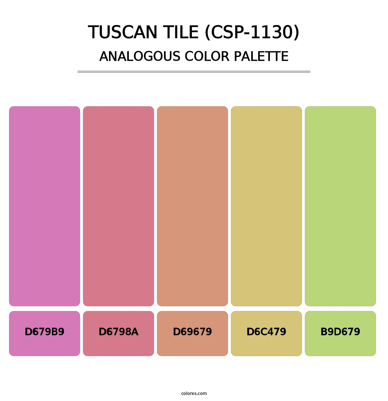 Tuscan Tile (CSP-1130) - Analogous Color Palette