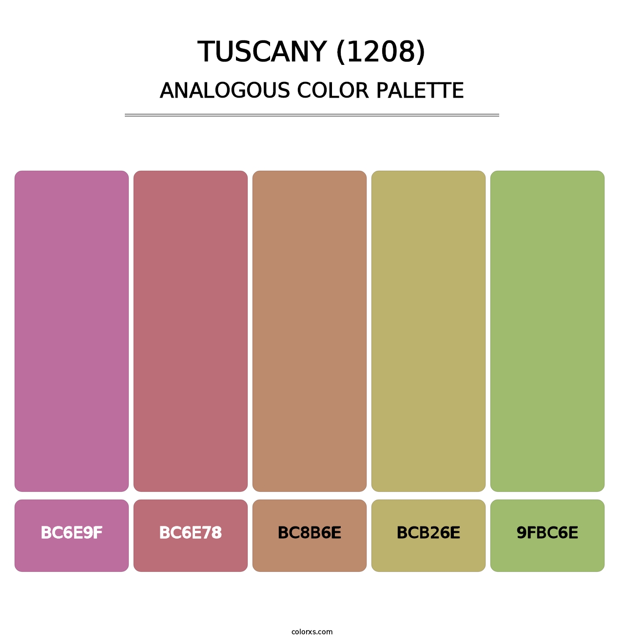 Tuscany (1208) - Analogous Color Palette