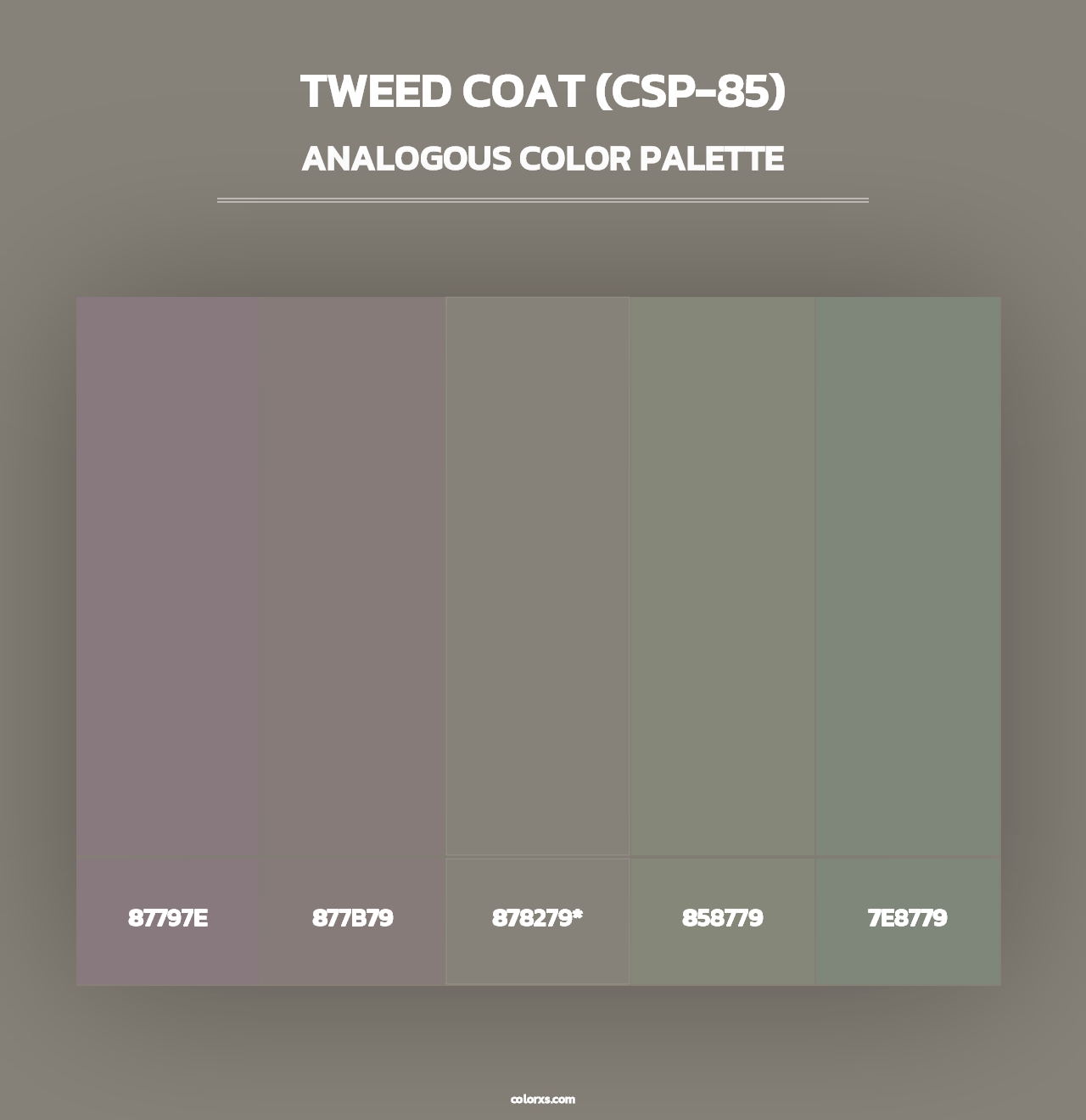 Tweed Coat (CSP-85) - Analogous Color Palette