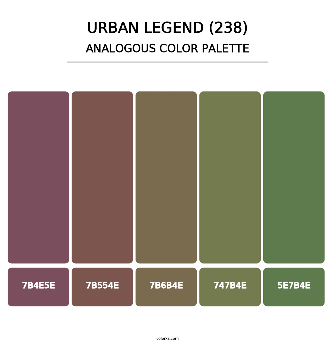 Urban Legend (238) - Analogous Color Palette