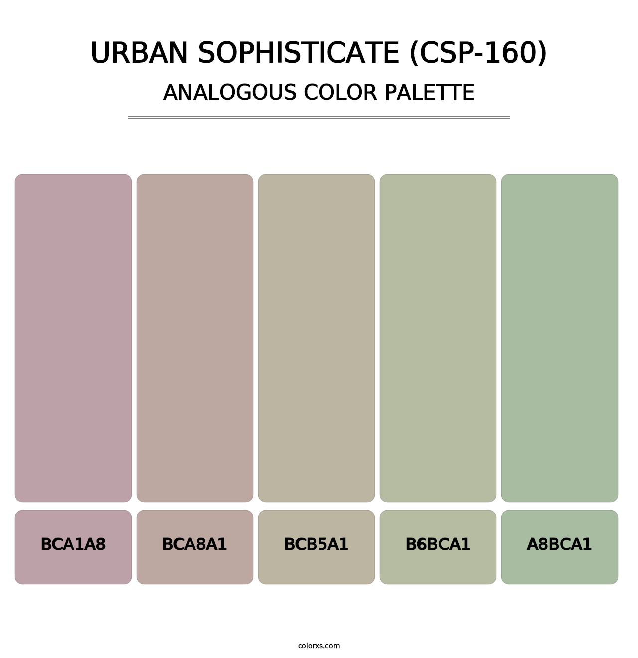 Urban Sophisticate (CSP-160) - Analogous Color Palette