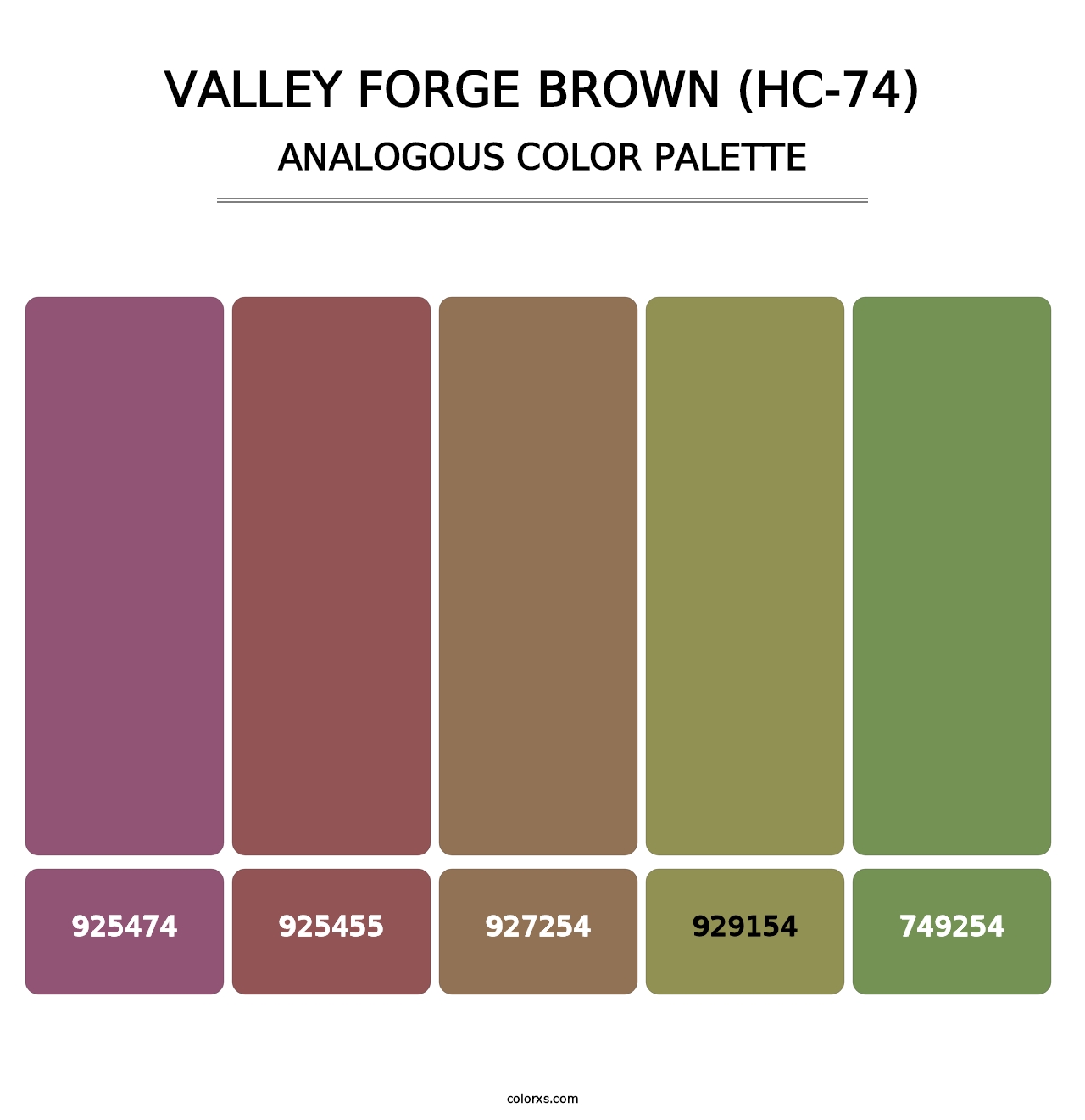 Valley Forge Brown (HC-74) - Analogous Color Palette