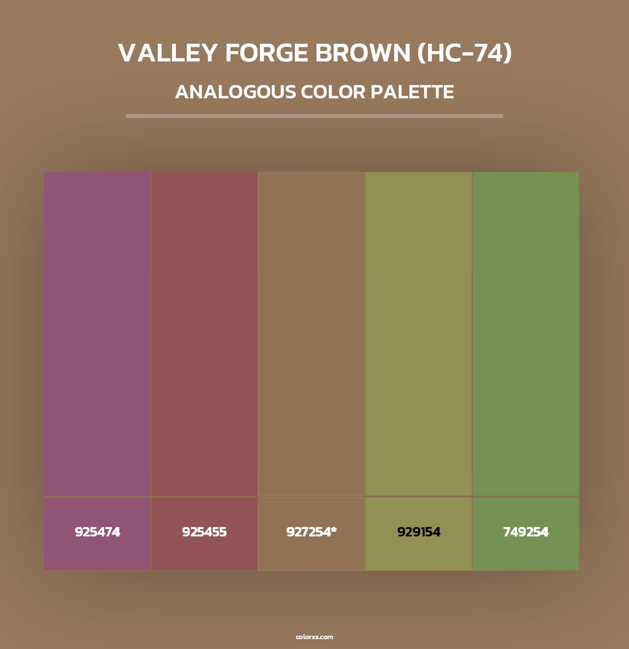 Valley Forge Brown (HC-74) - Analogous Color Palette