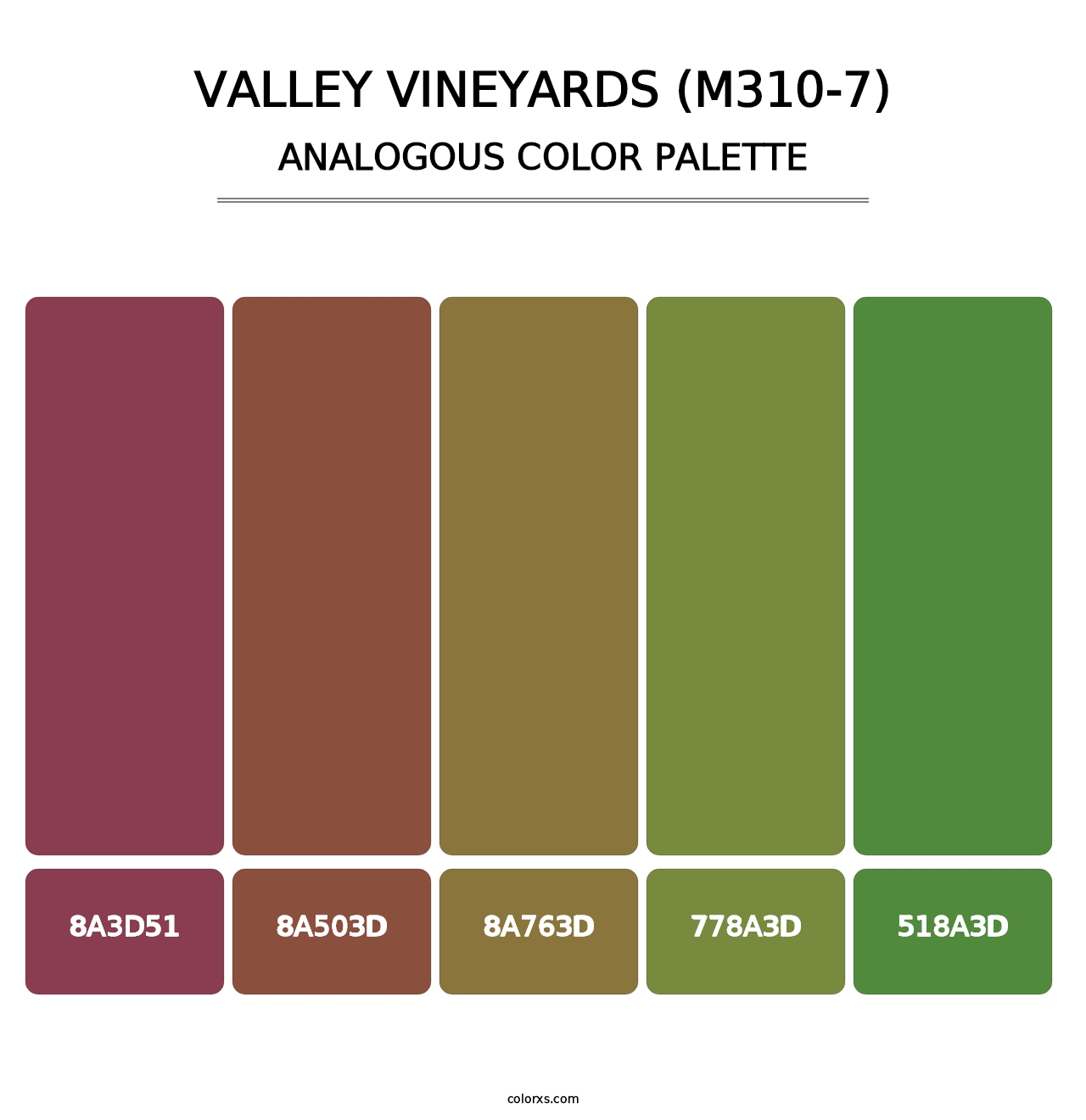 Valley Vineyards (M310-7) - Analogous Color Palette