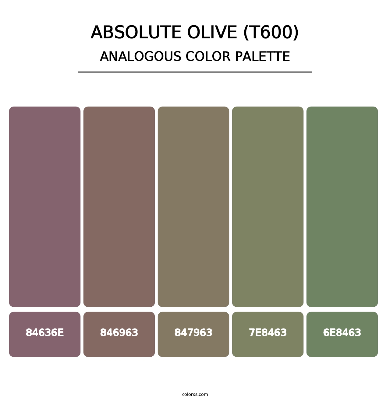 Absolute Olive (T600) - Analogous Color Palette