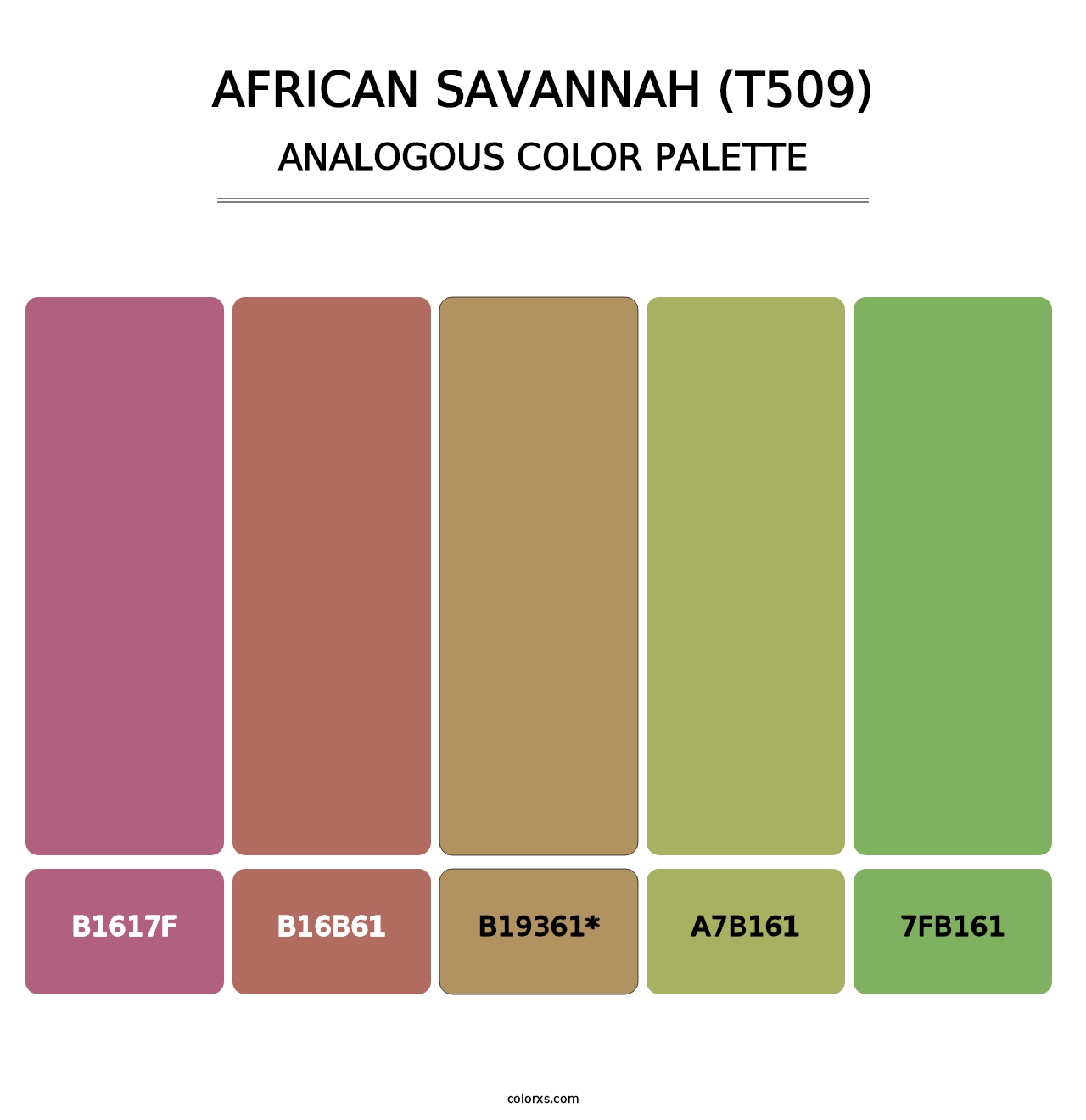 African Savannah (T509) - Analogous Color Palette