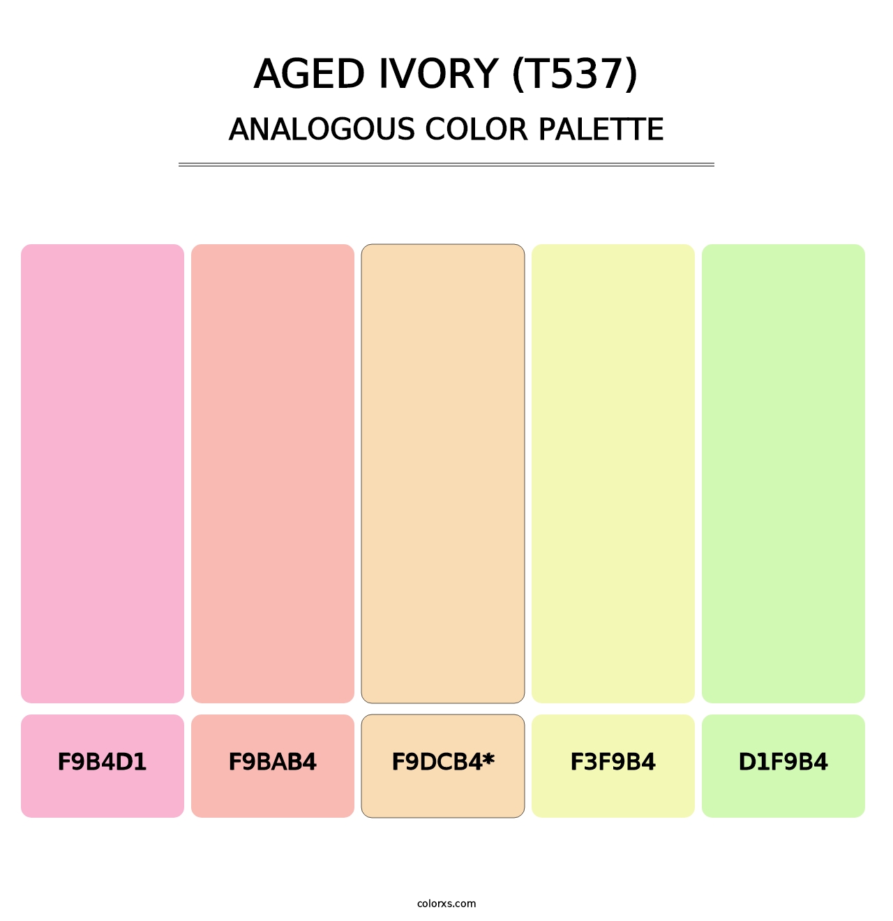 Aged Ivory (T537) - Analogous Color Palette