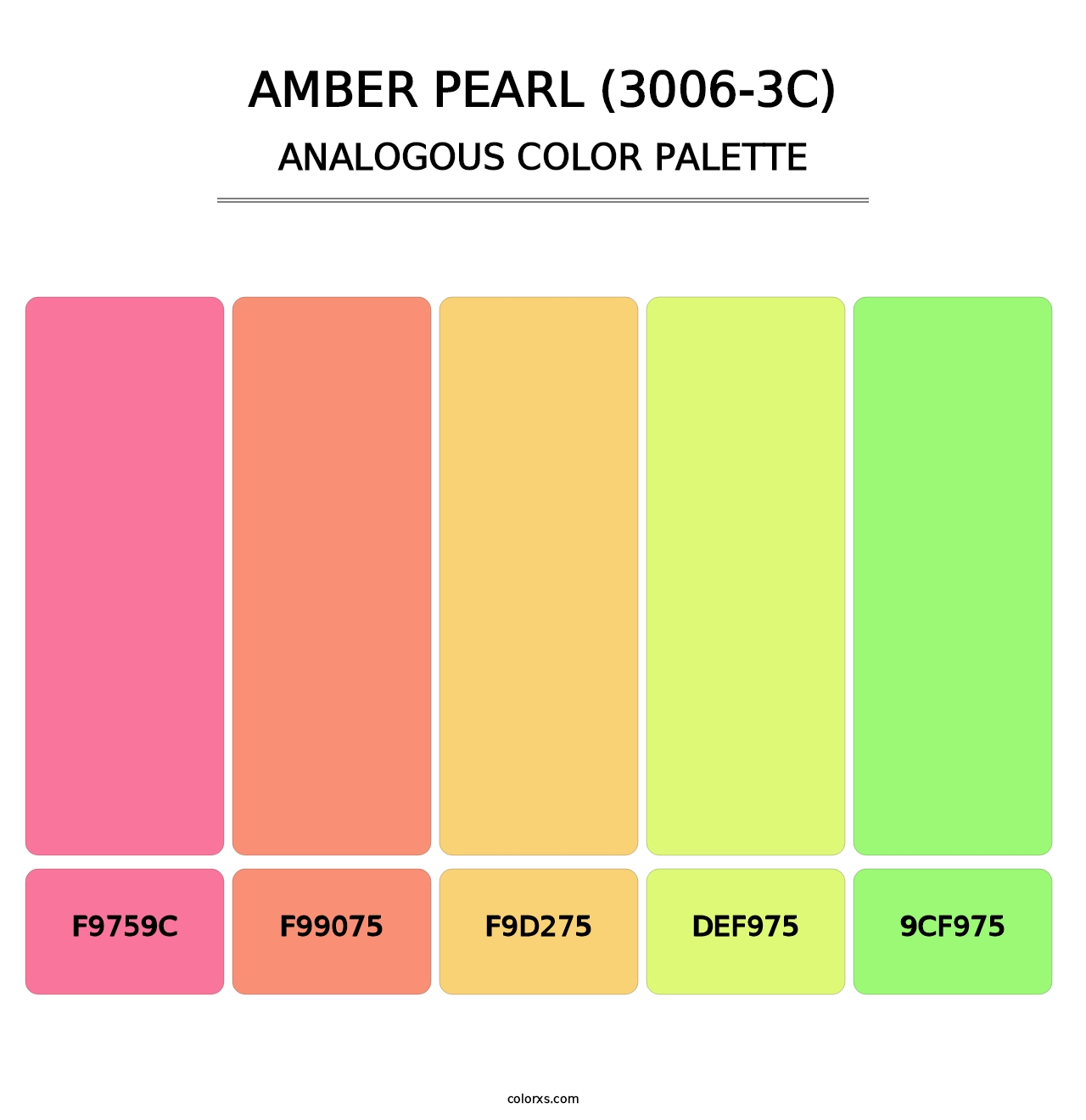 Amber Pearl (3006-3C) - Analogous Color Palette