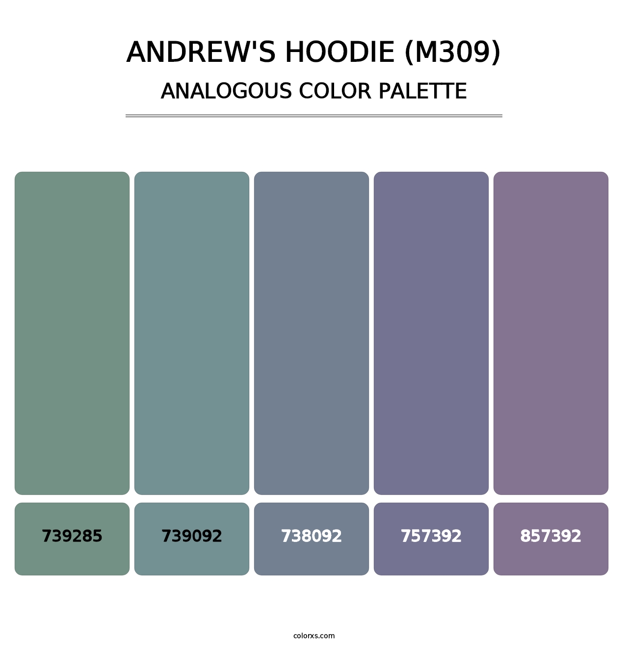 Andrew's Hoodie (M309) - Analogous Color Palette
