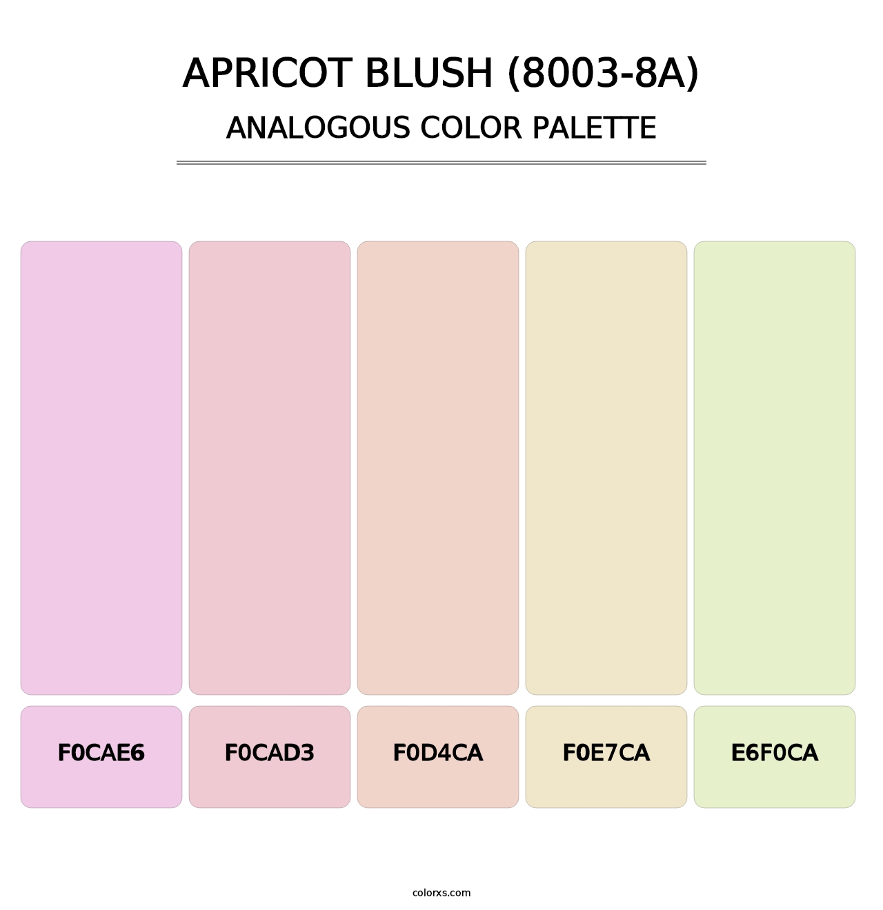 Apricot Blush (8003-8A) - Analogous Color Palette