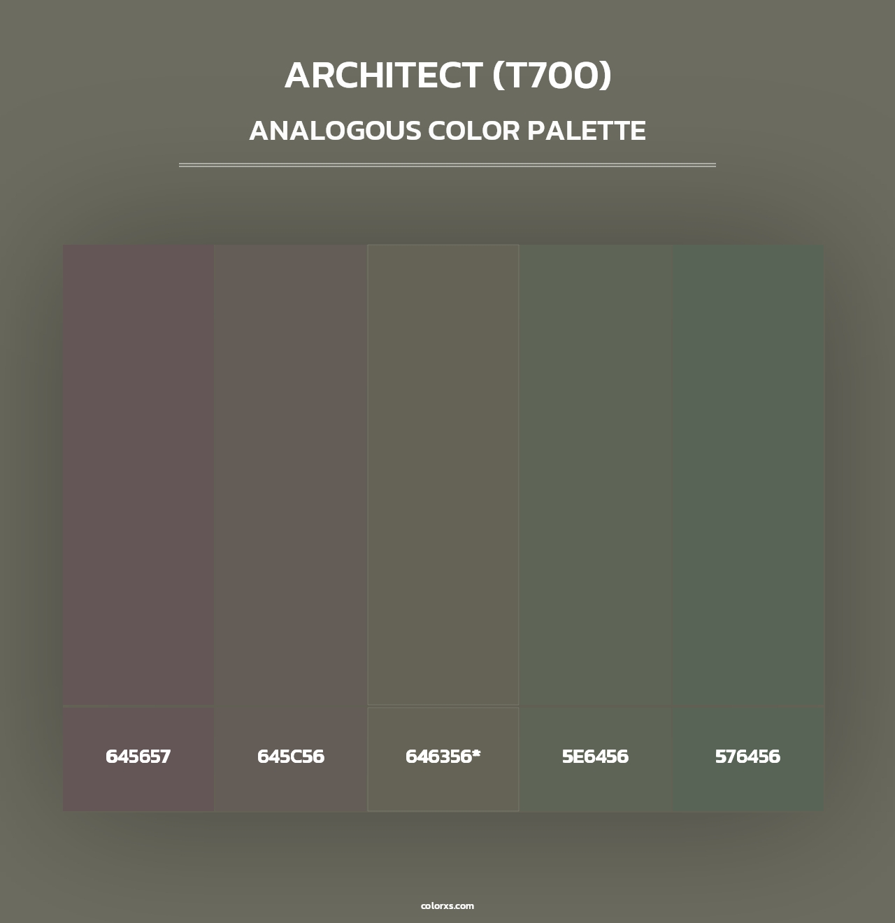 Architect (T700) - Analogous Color Palette