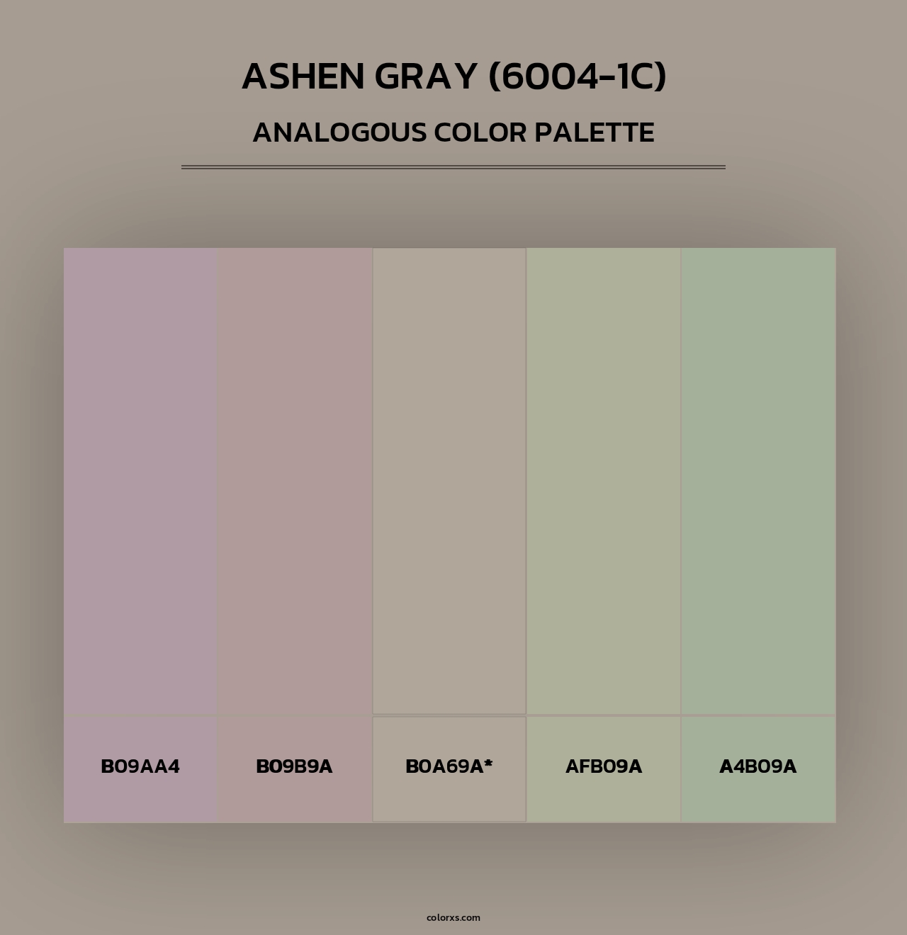 Ashen Gray (6004-1C) - Analogous Color Palette