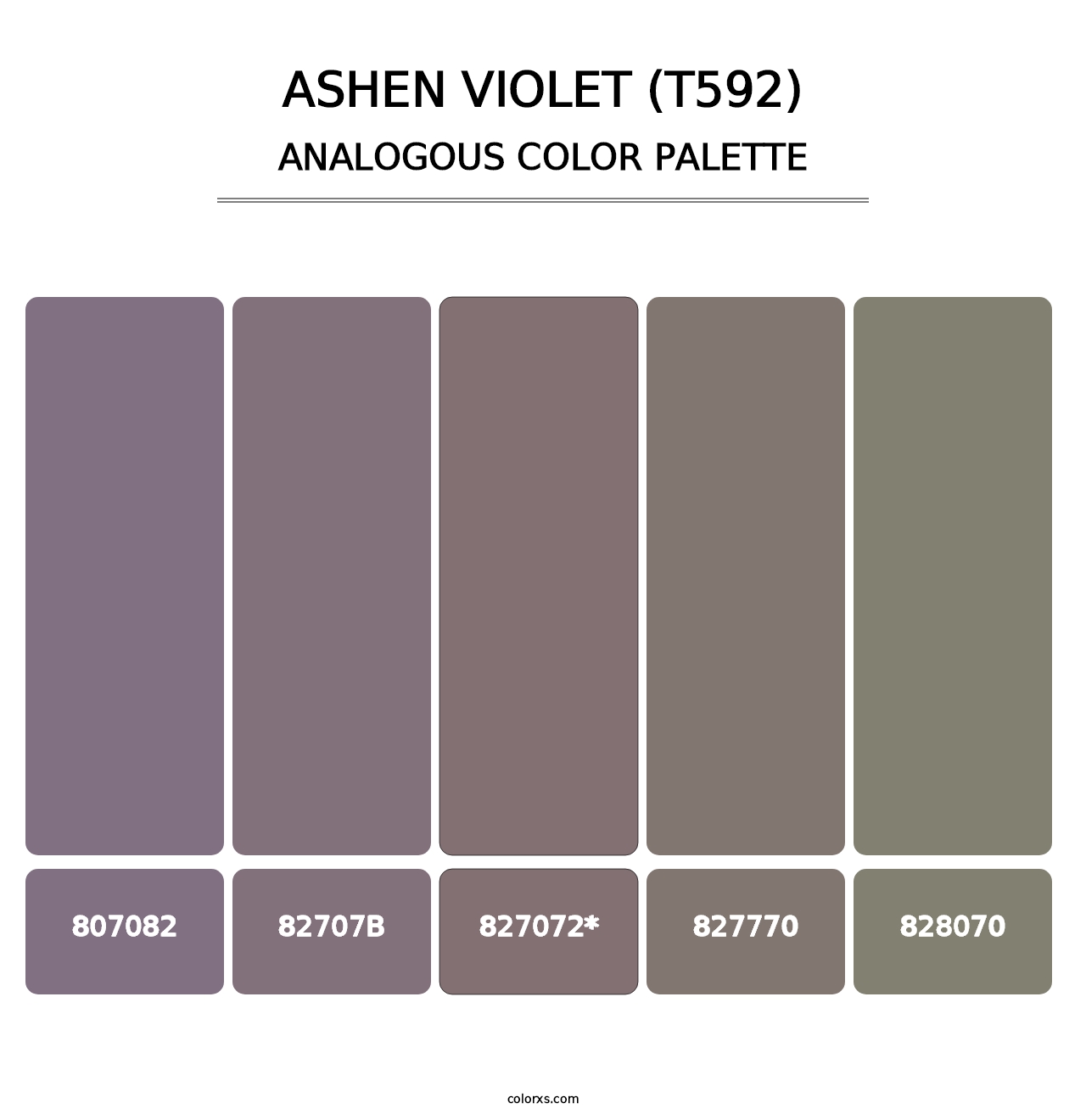 Ashen Violet (T592) - Analogous Color Palette