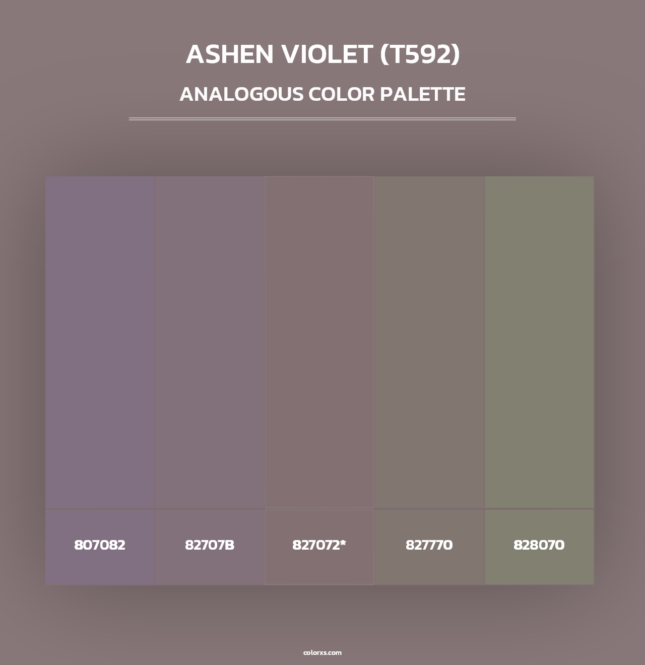 Ashen Violet (T592) - Analogous Color Palette