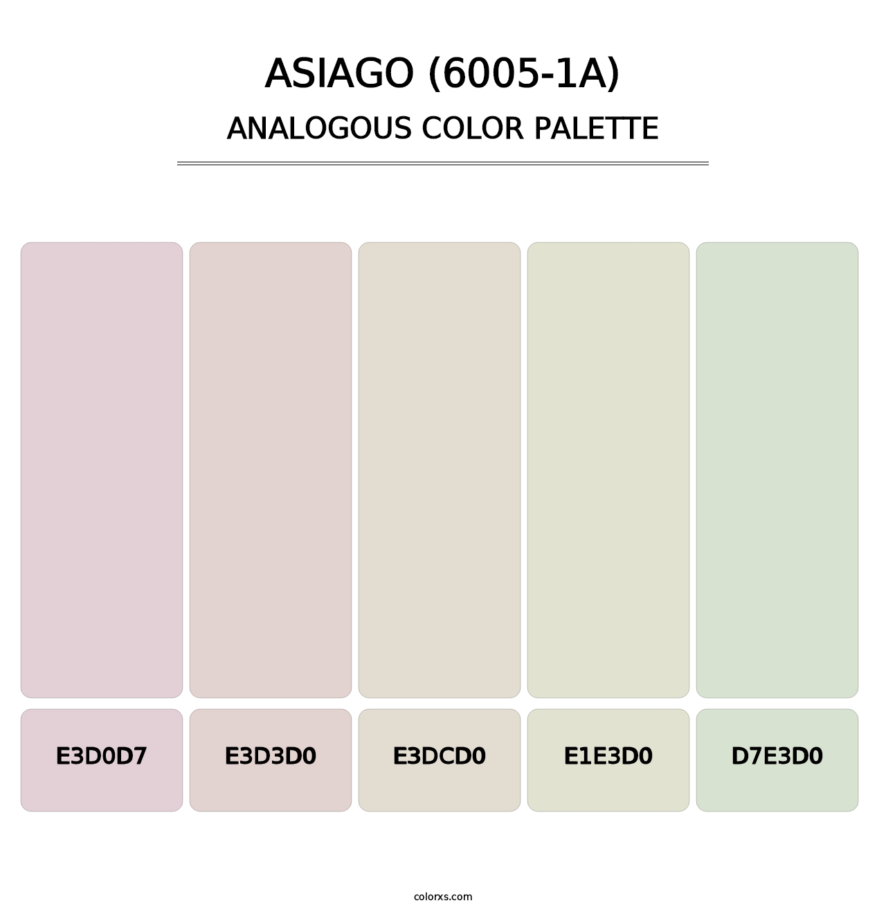 Asiago (6005-1A) - Analogous Color Palette