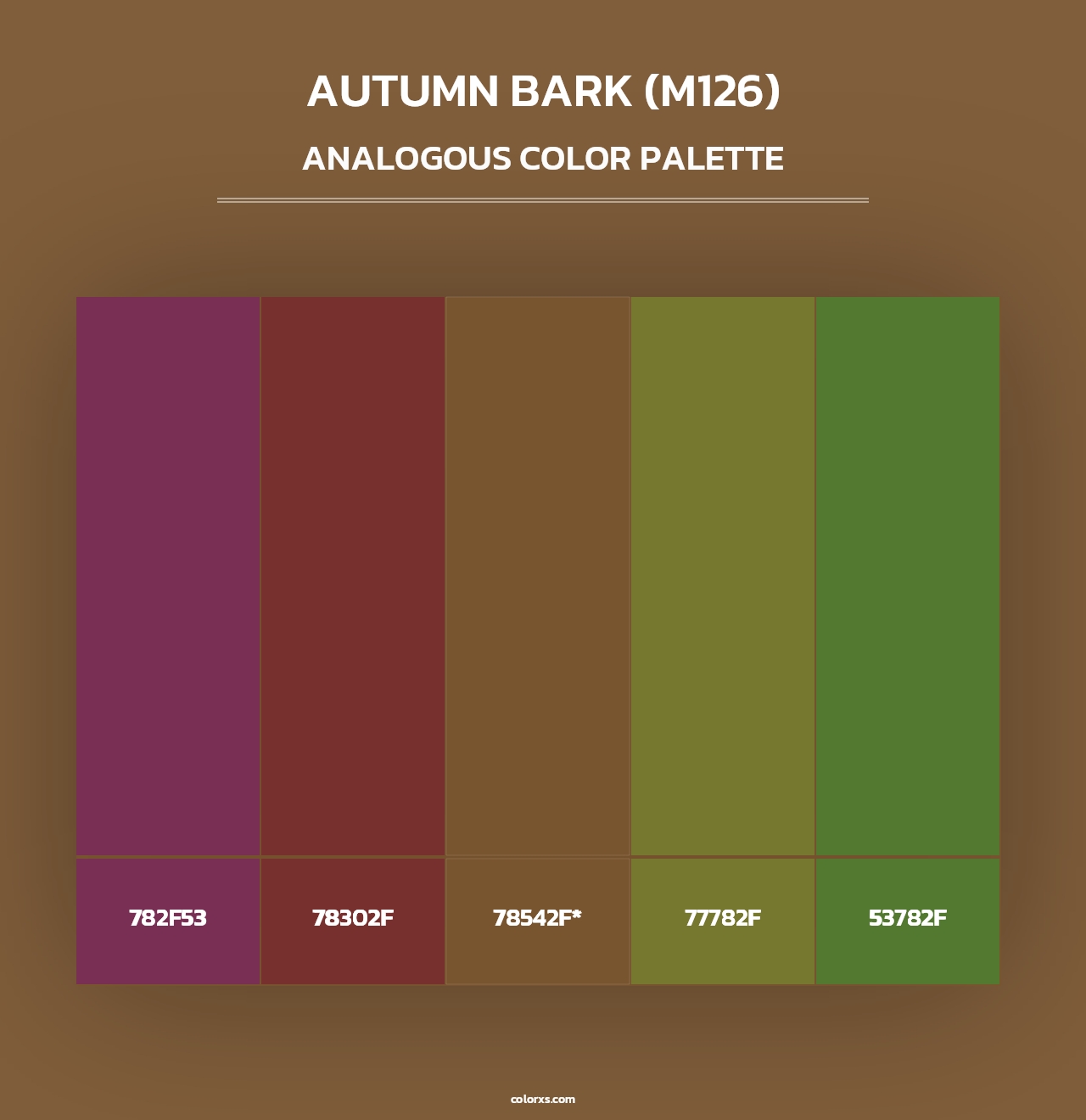 Autumn Bark (M126) - Analogous Color Palette
